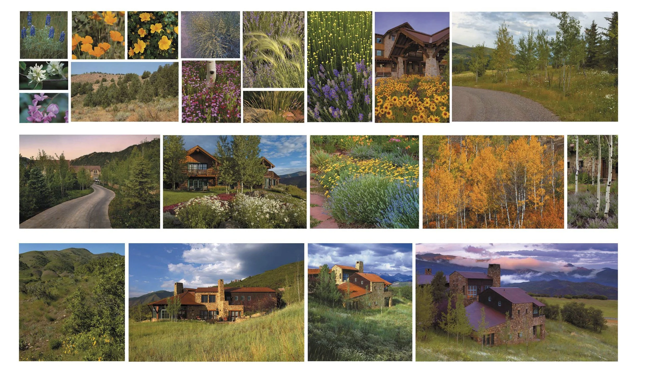 Harrison SD Pkg 4.jpg