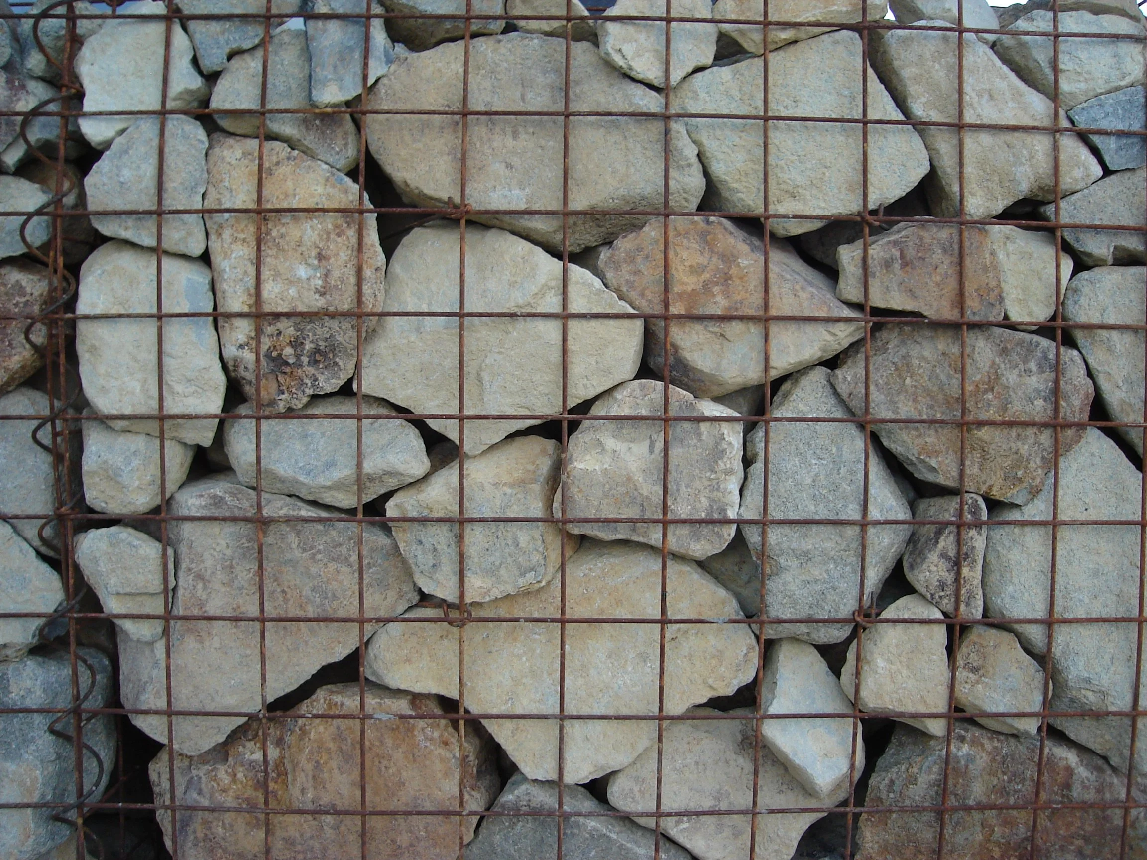 daybreak corporate (11).jpg