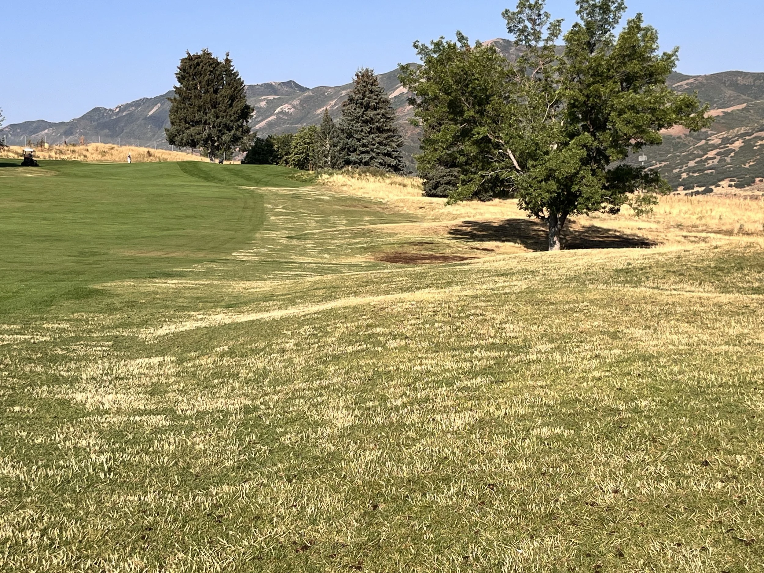 Mtn Dell Lake 18 - Existing