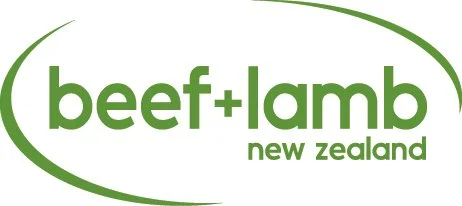 B+LNZ logo green.jpg