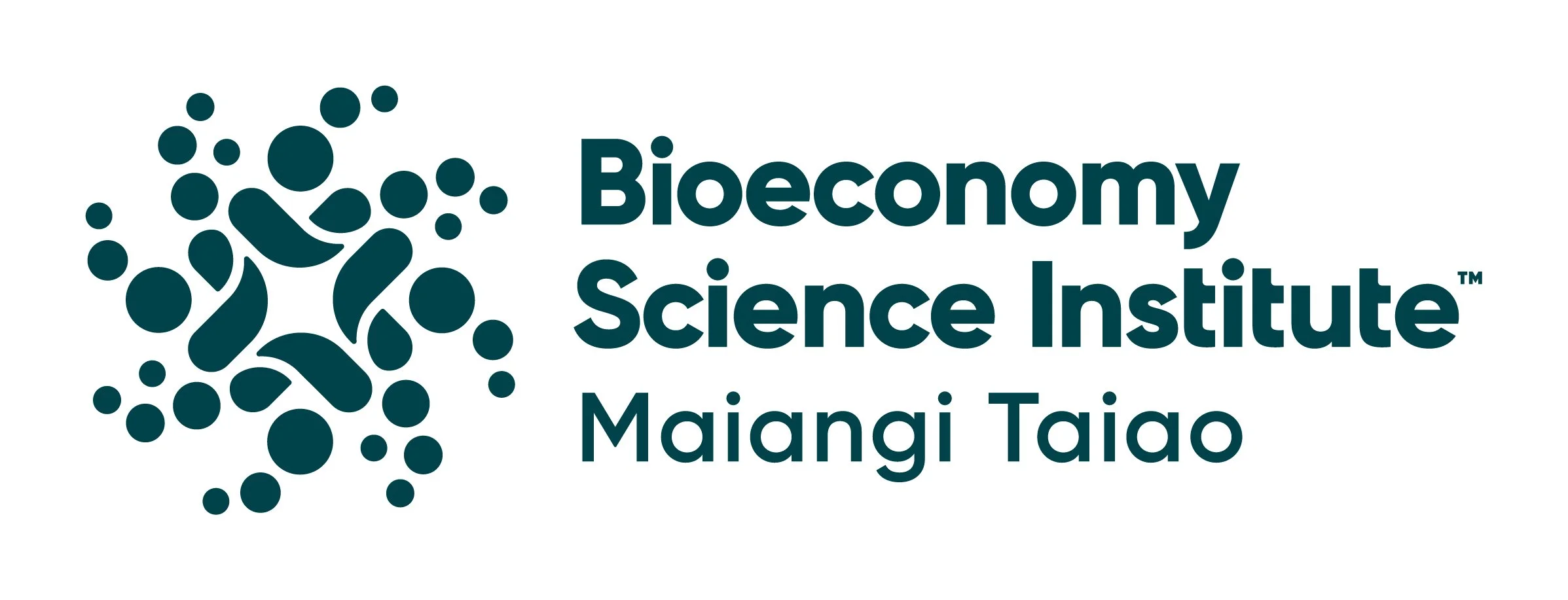 01_Primary_BSI_Ingoa_Logo_Slate_RGB.jpg
