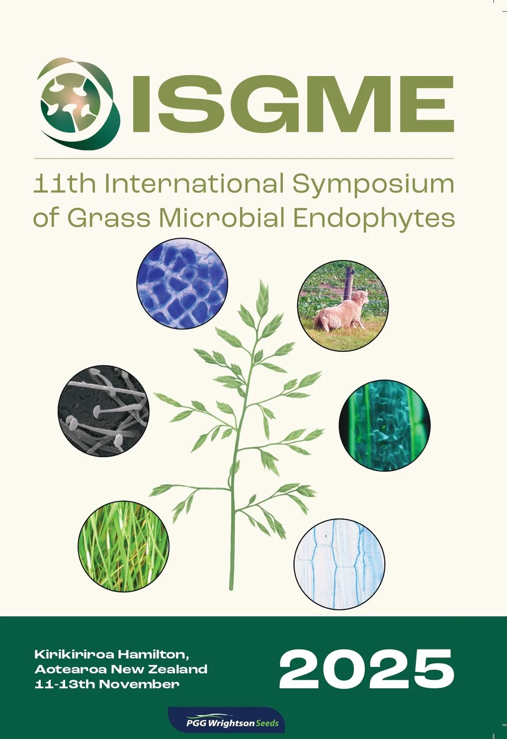 R&P 18: 11th International Symposium of Grass Microbial Endophytes 2025