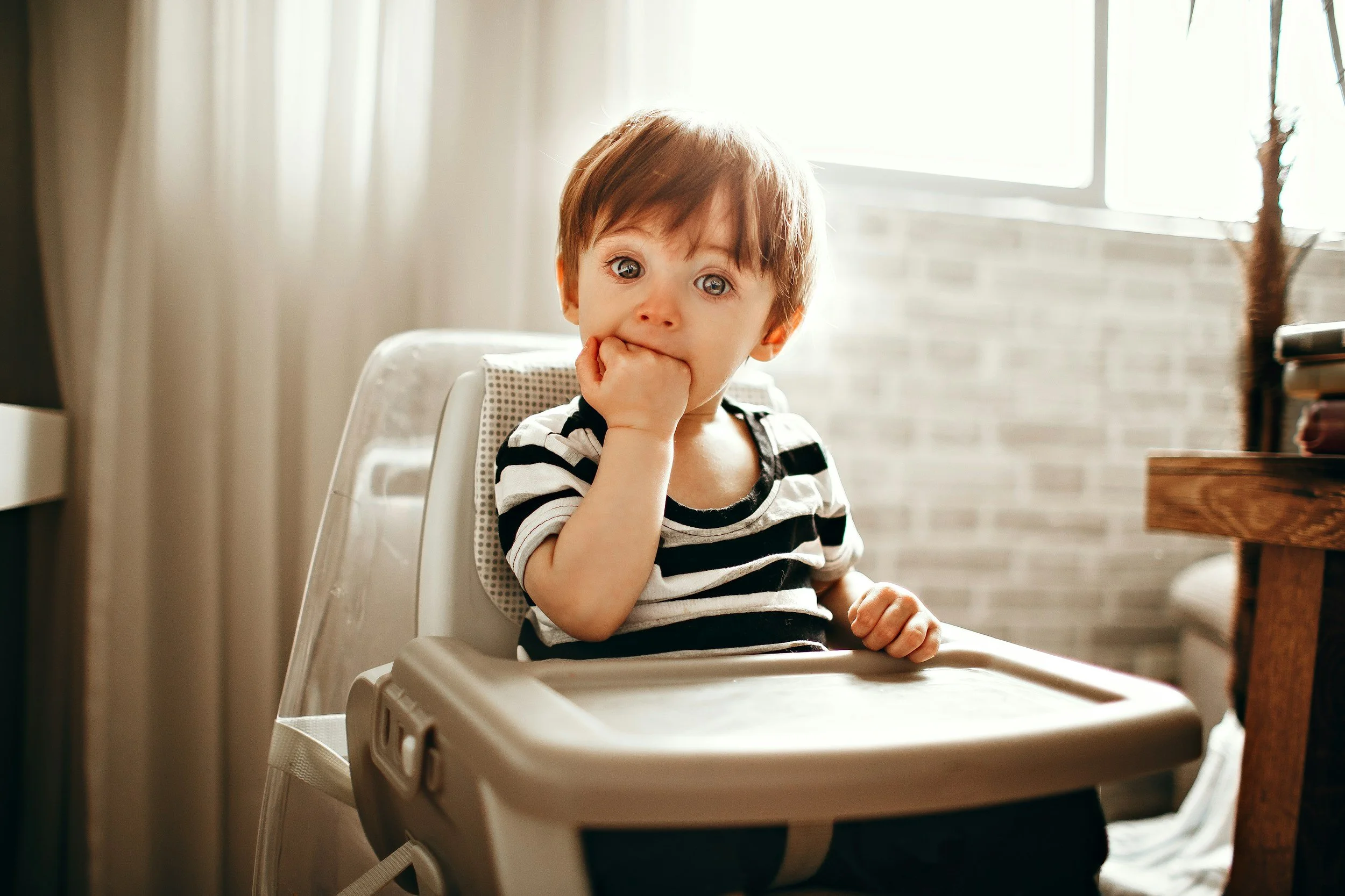 Picky Eating vs Problem Feeding: How to Tell the Difference