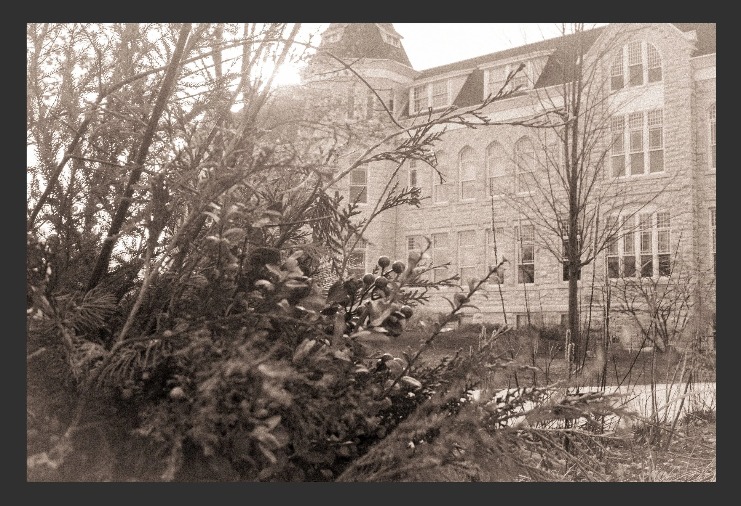 Carroll University Project