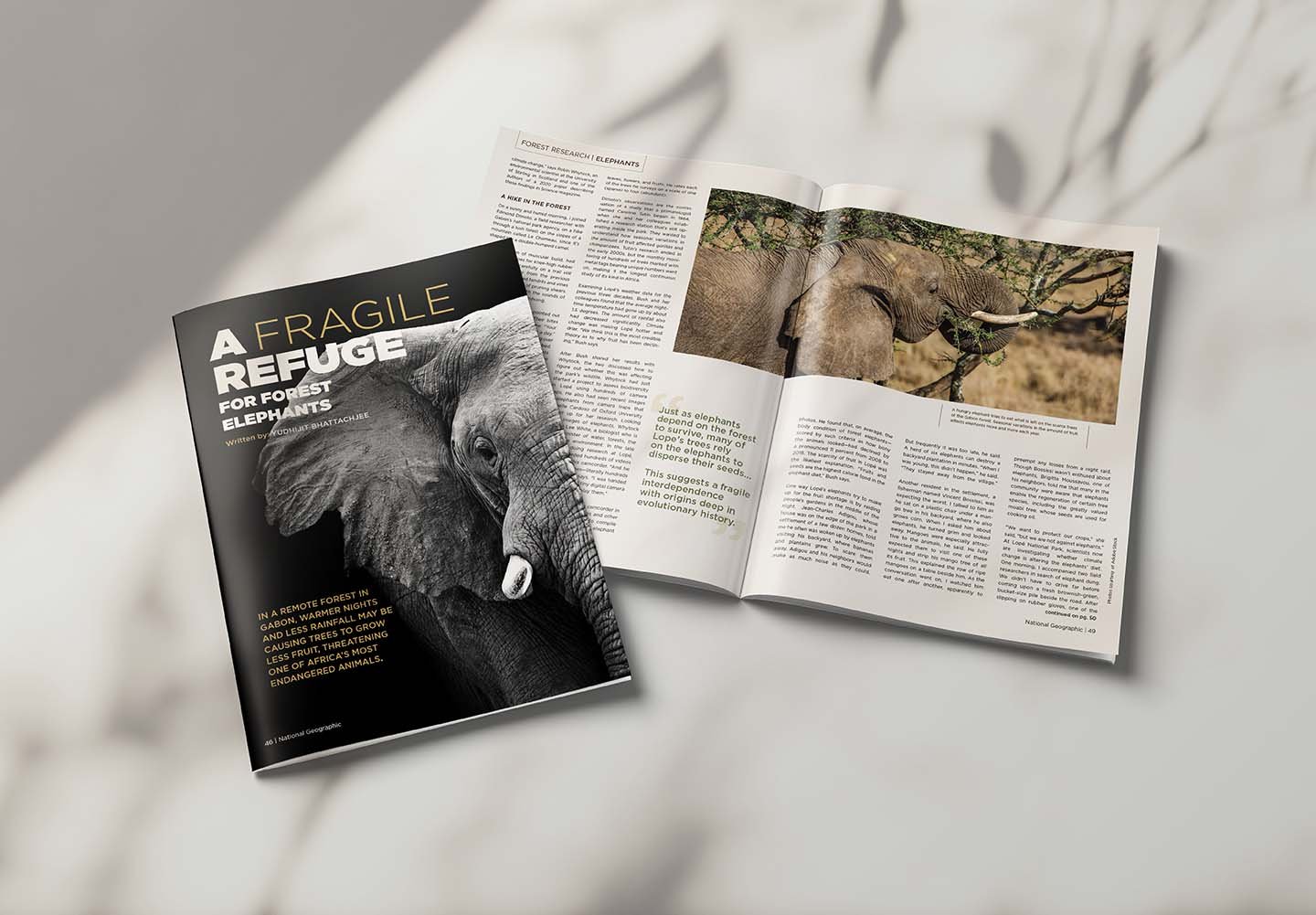 Magazine Layout