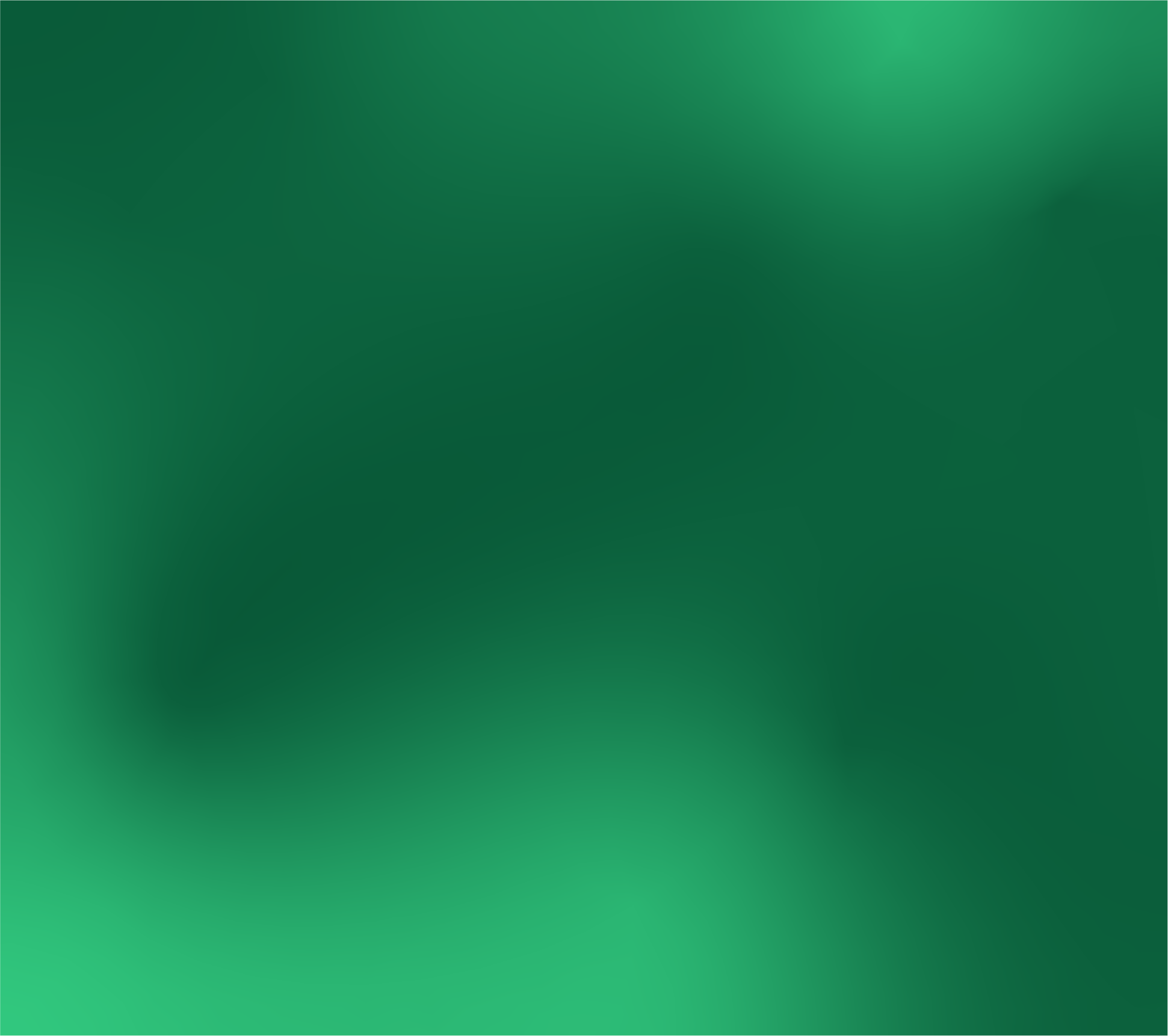 Asset 24.png