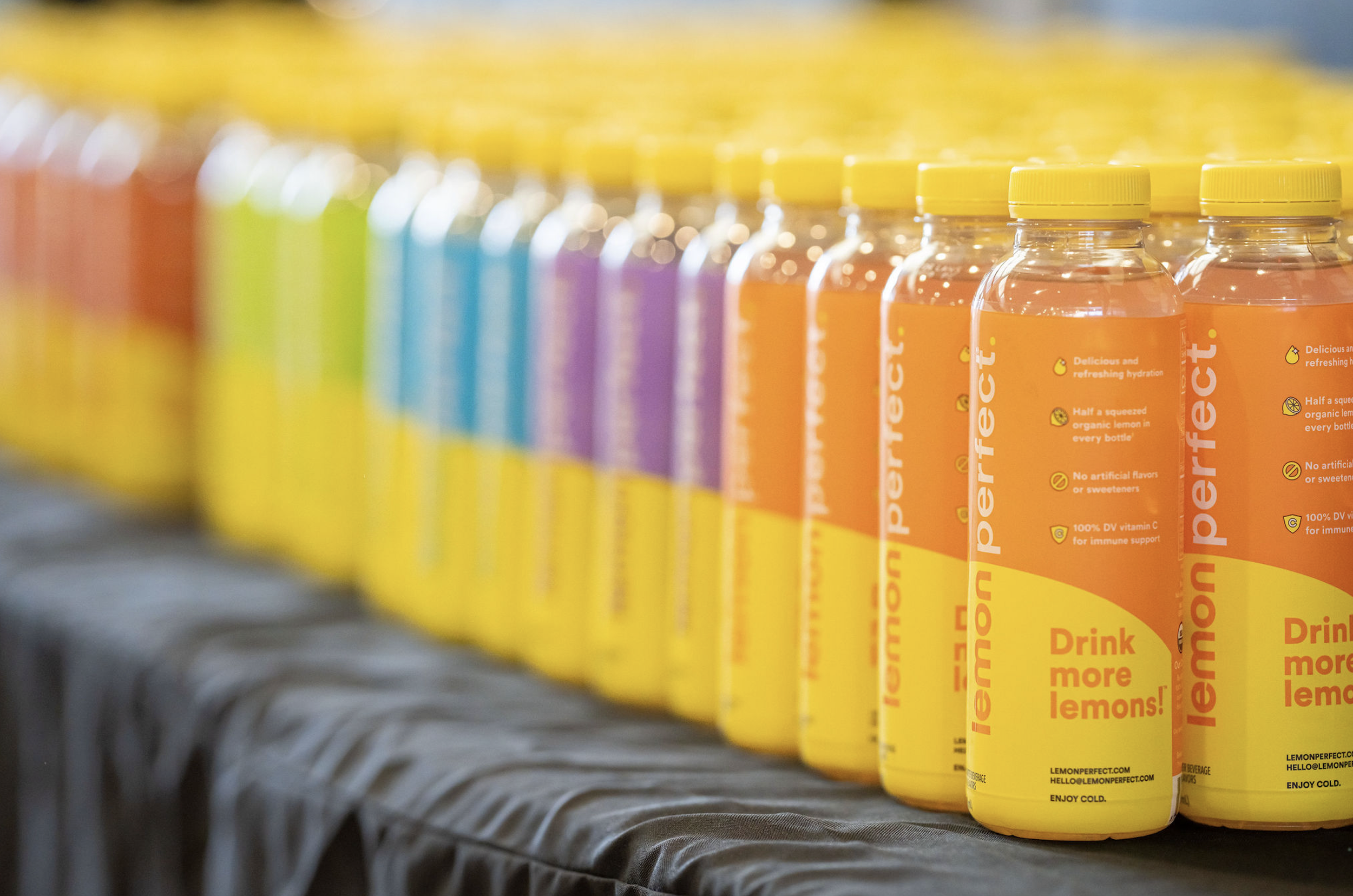 Screenshot 2026-02-20 at 4.21.59 PM.png