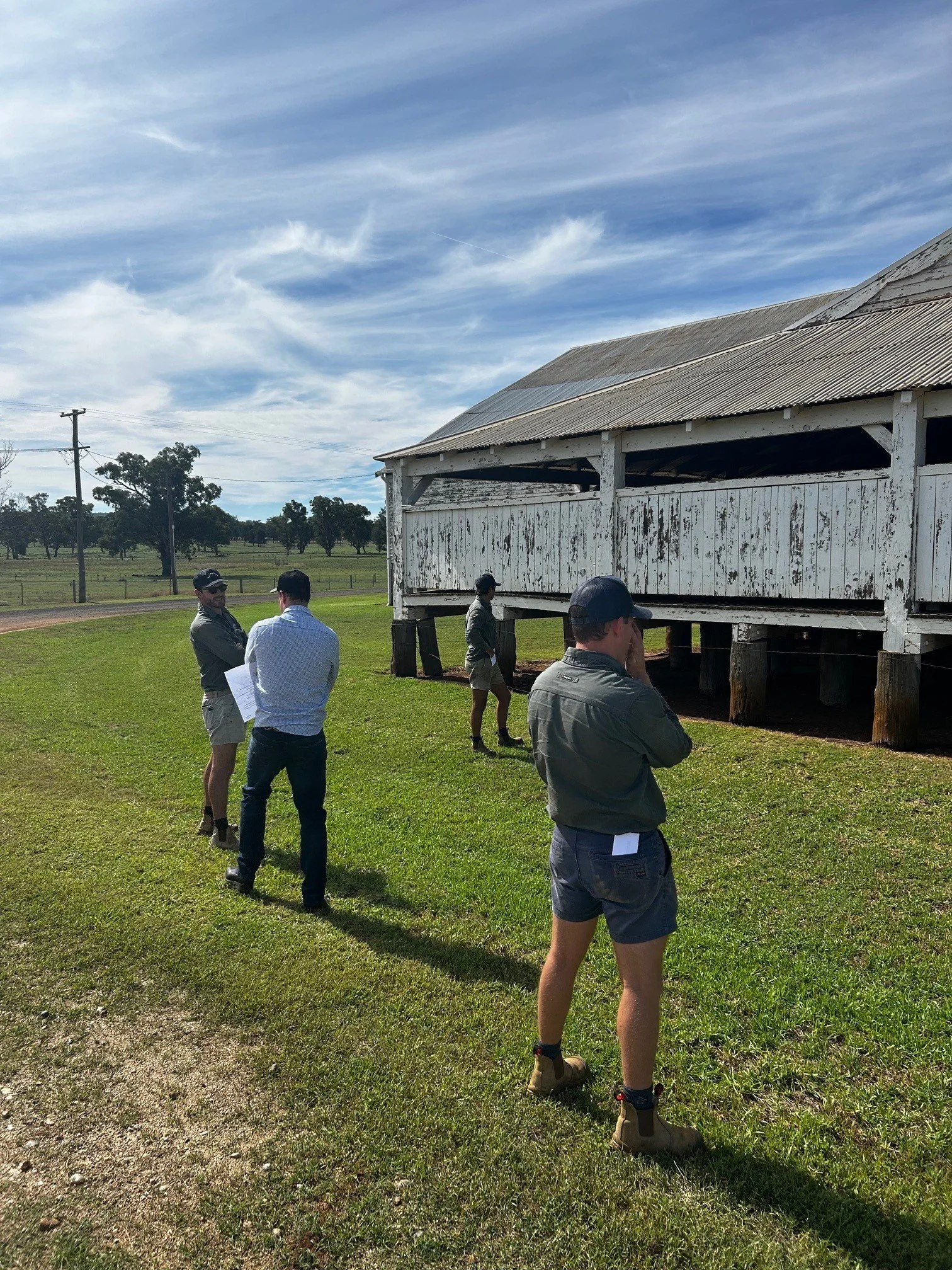 Windy Station Woolshed x Mable Projects [all outside shed].jpg