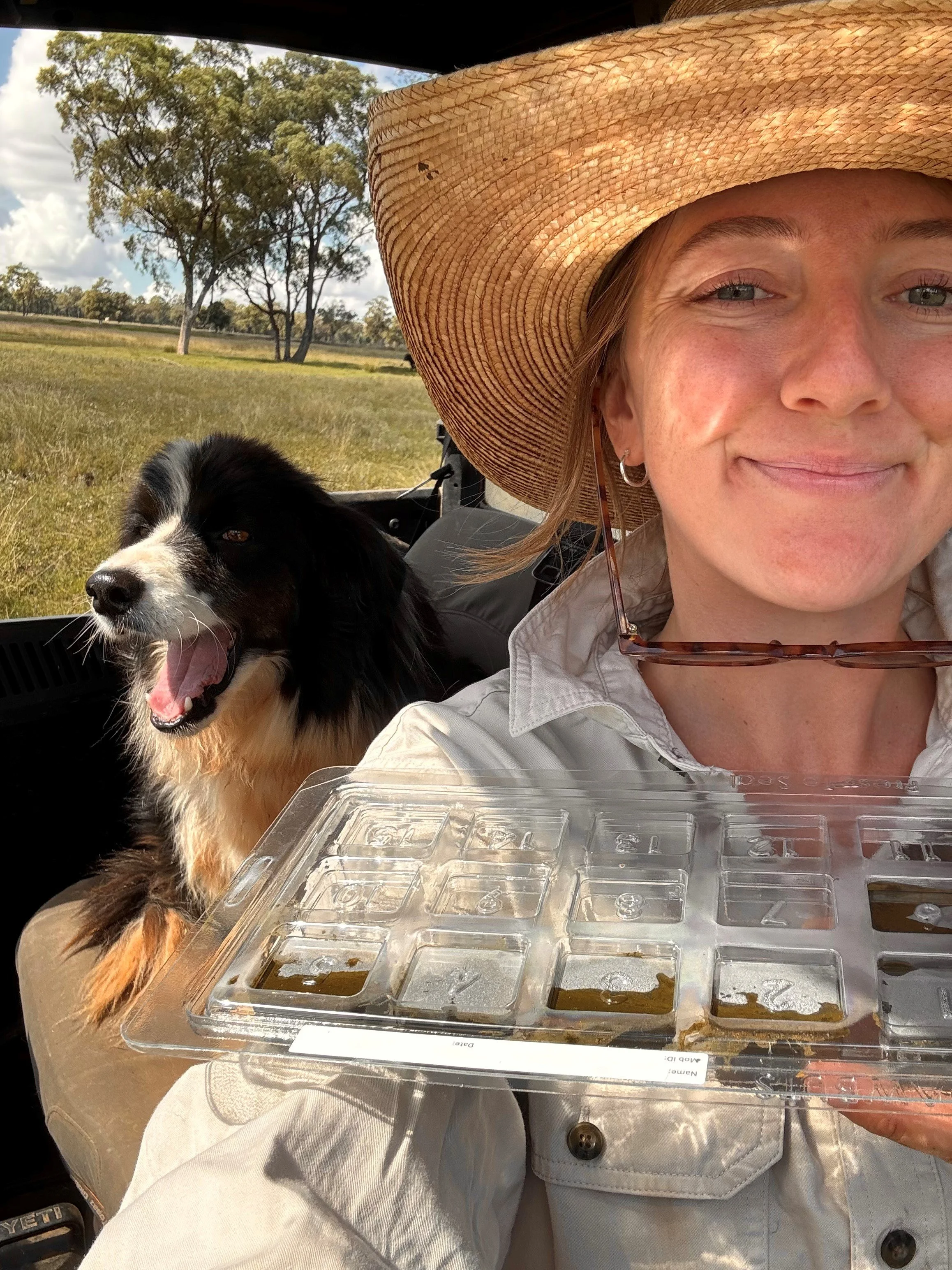 Worm Counts, Not Guesswork: Managing Parasites in Our Herd