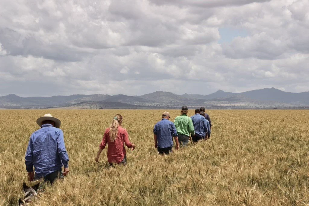 Group in paddock with farmer CREDIT Rebecca Andrews.jpg