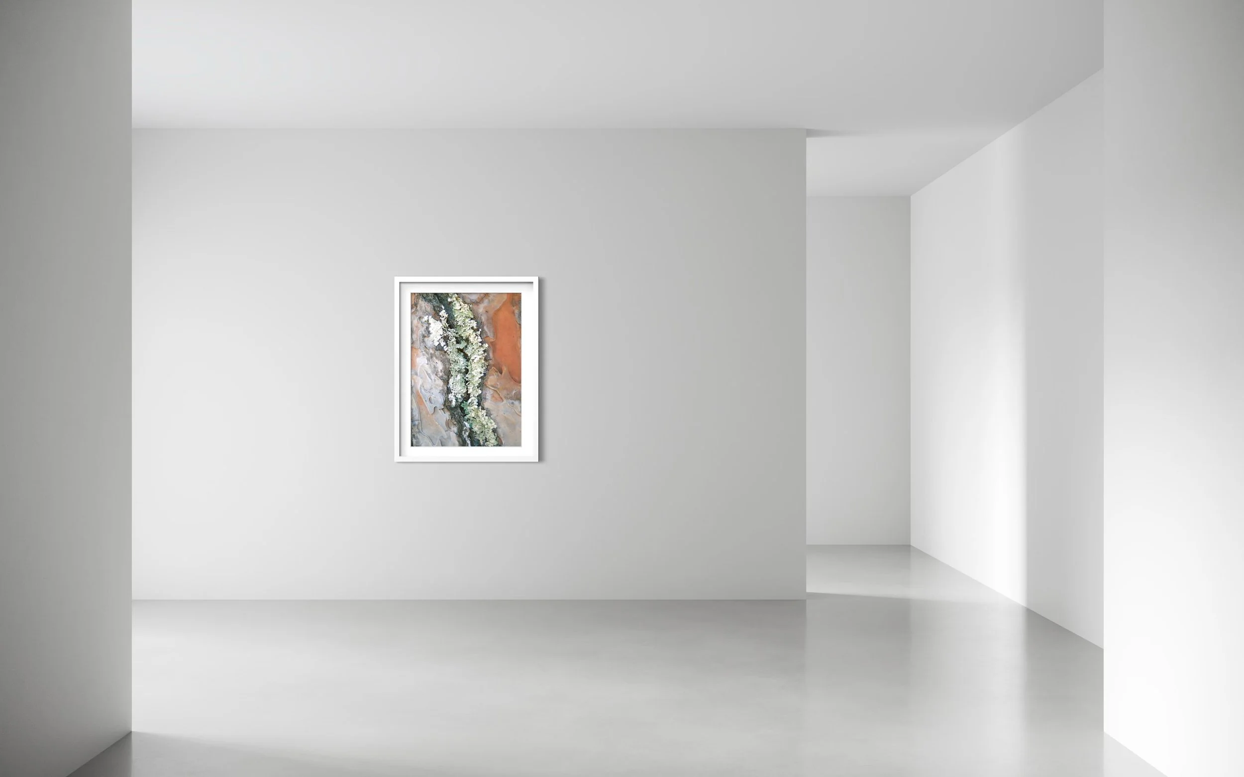 Gallery Install.jpeg