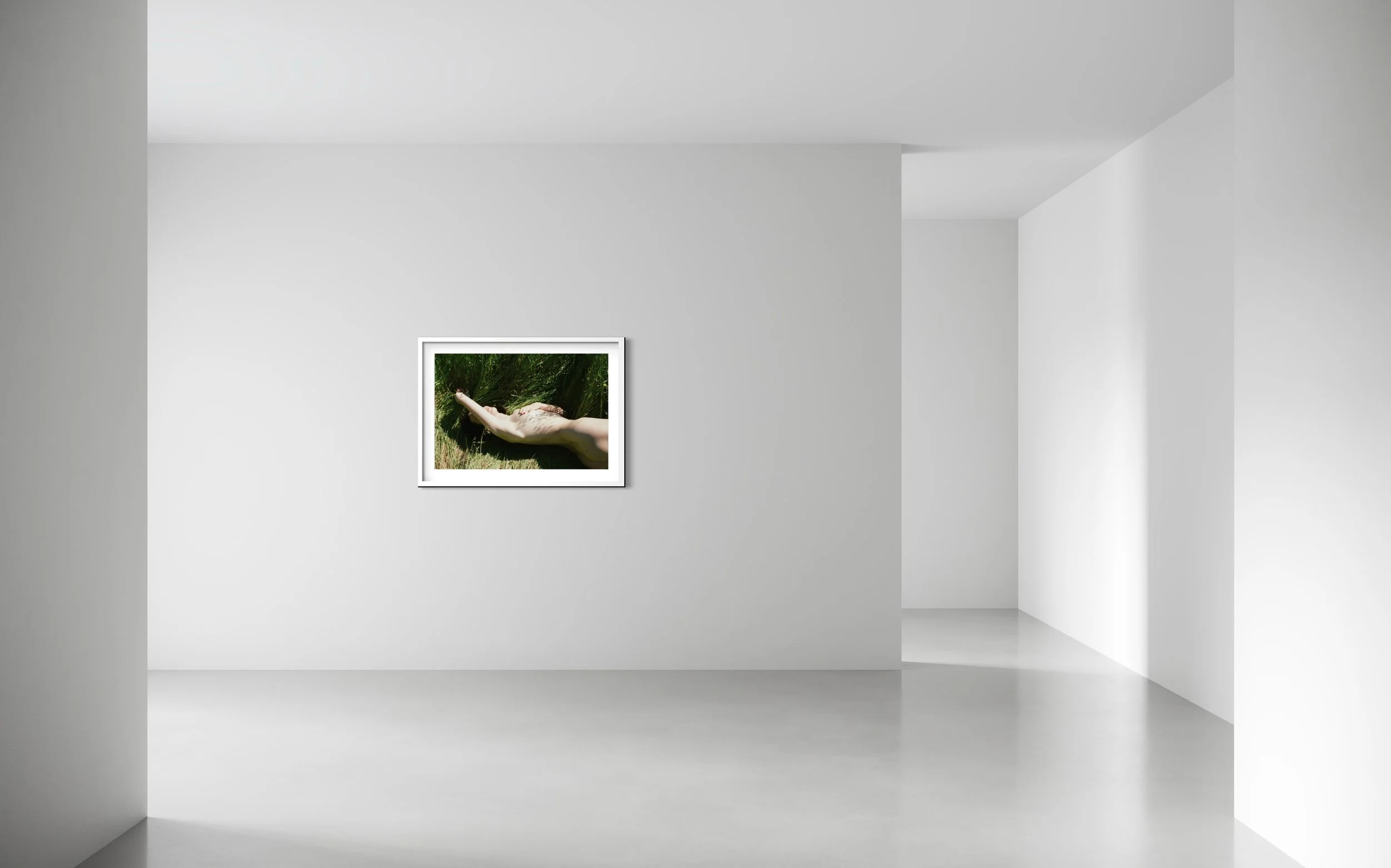 Gallery Install.jpeg