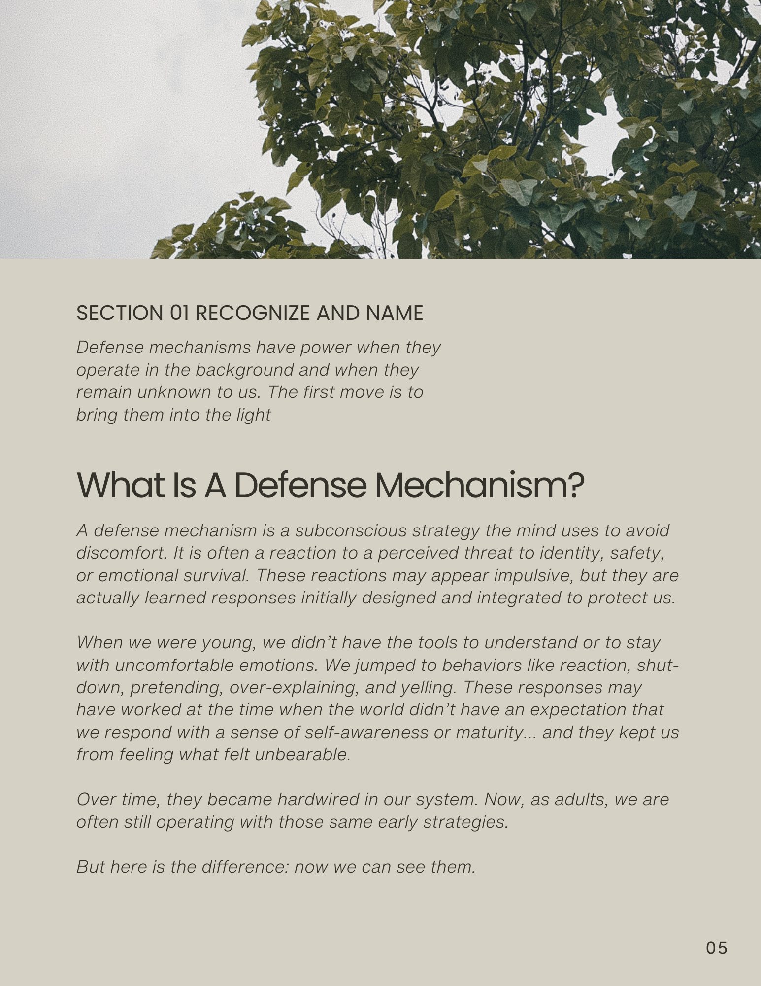 Mapping Out Defense Mechanisms Workbook (4).png