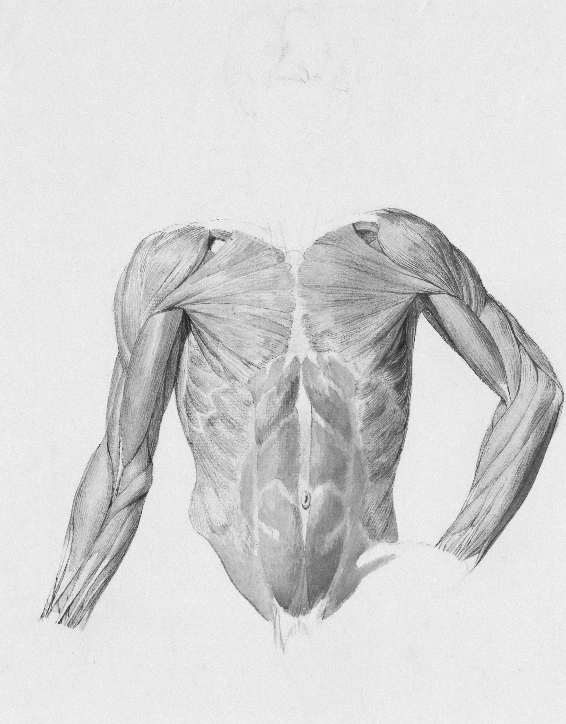 Why Segmental Strengthening Matters More Than You Think
