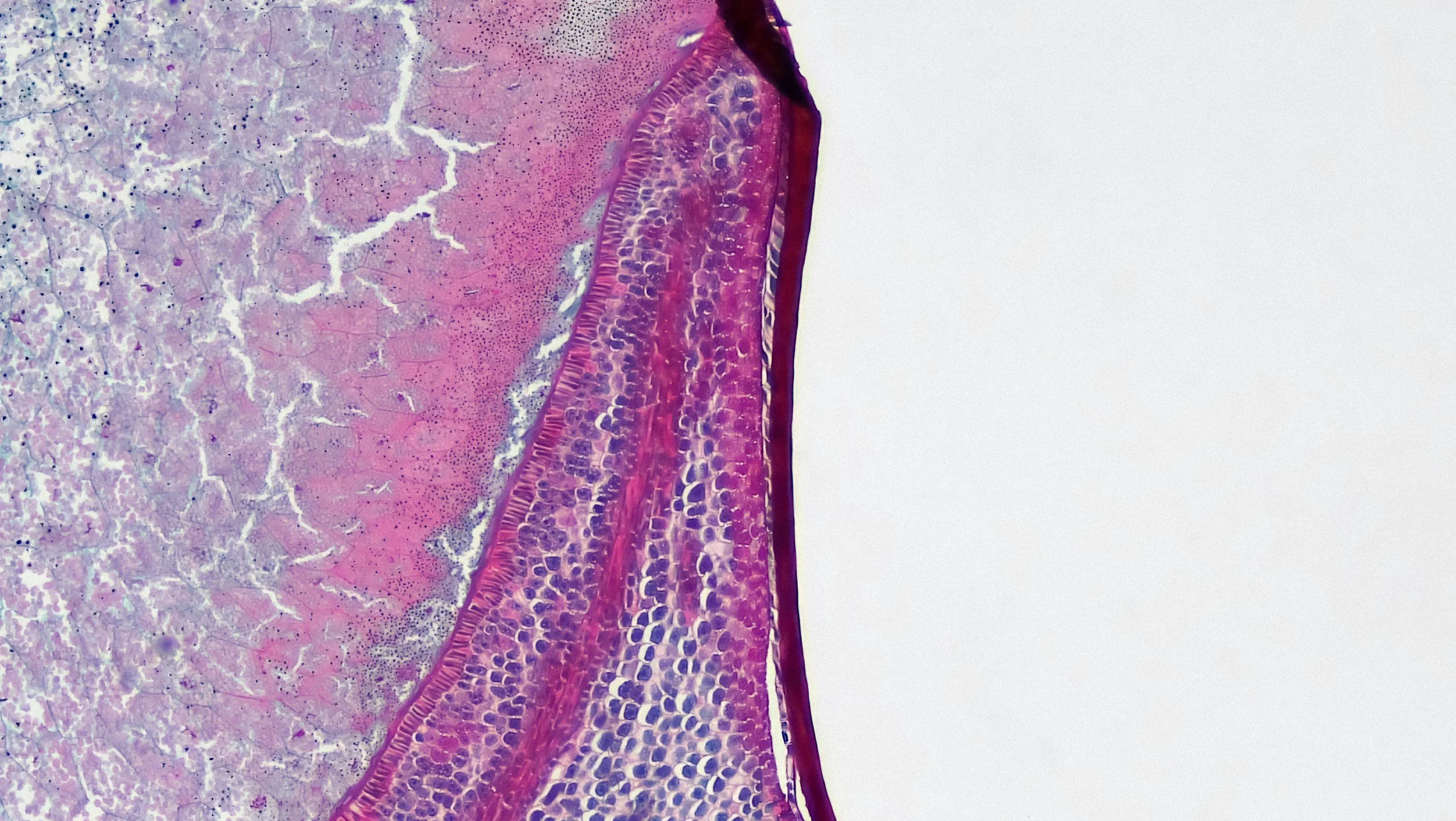 A Smarter Approach to Personal Training in Newport Beach