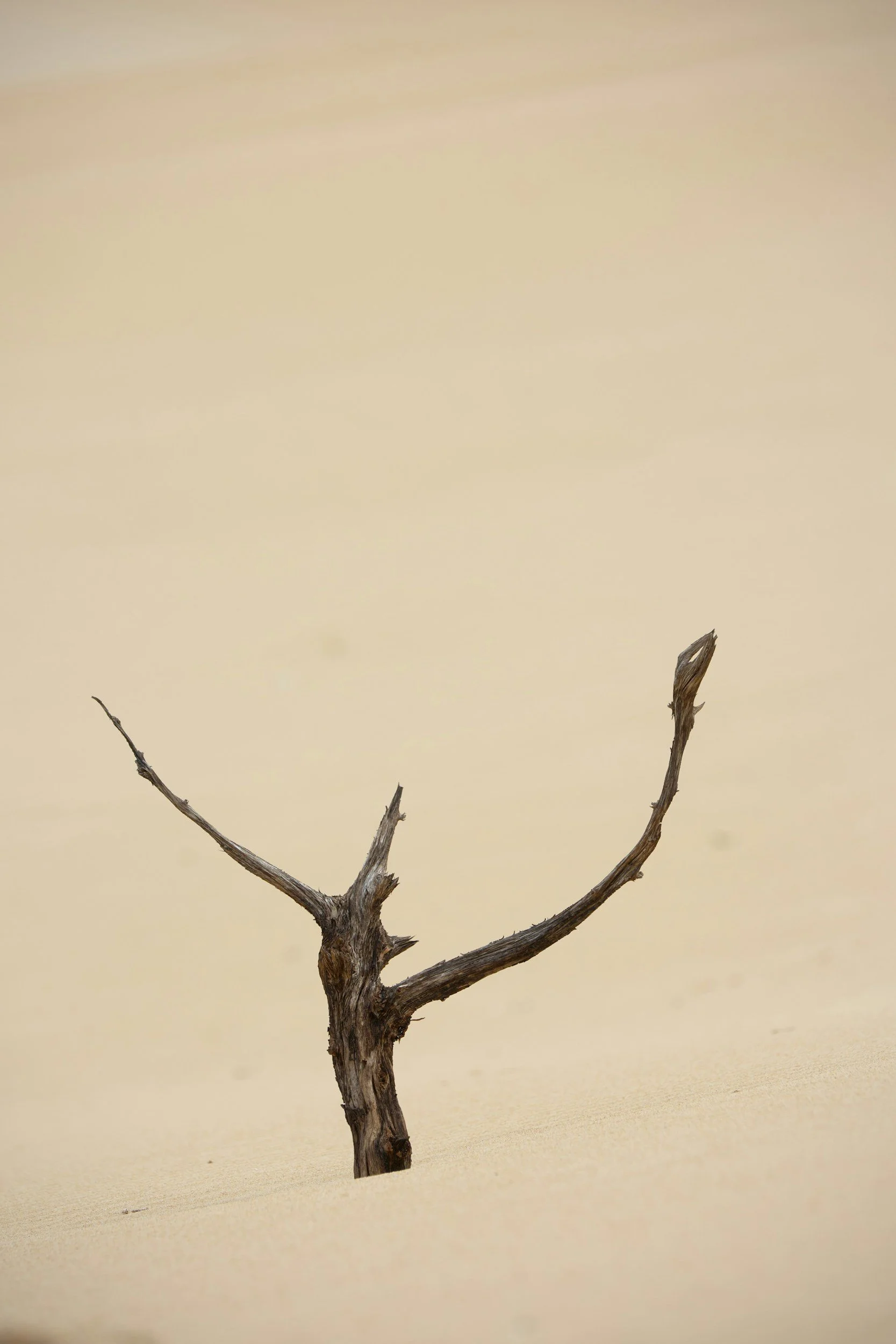 ELDOA vs Stretching: What Is the Difference and Which One Actually Works?