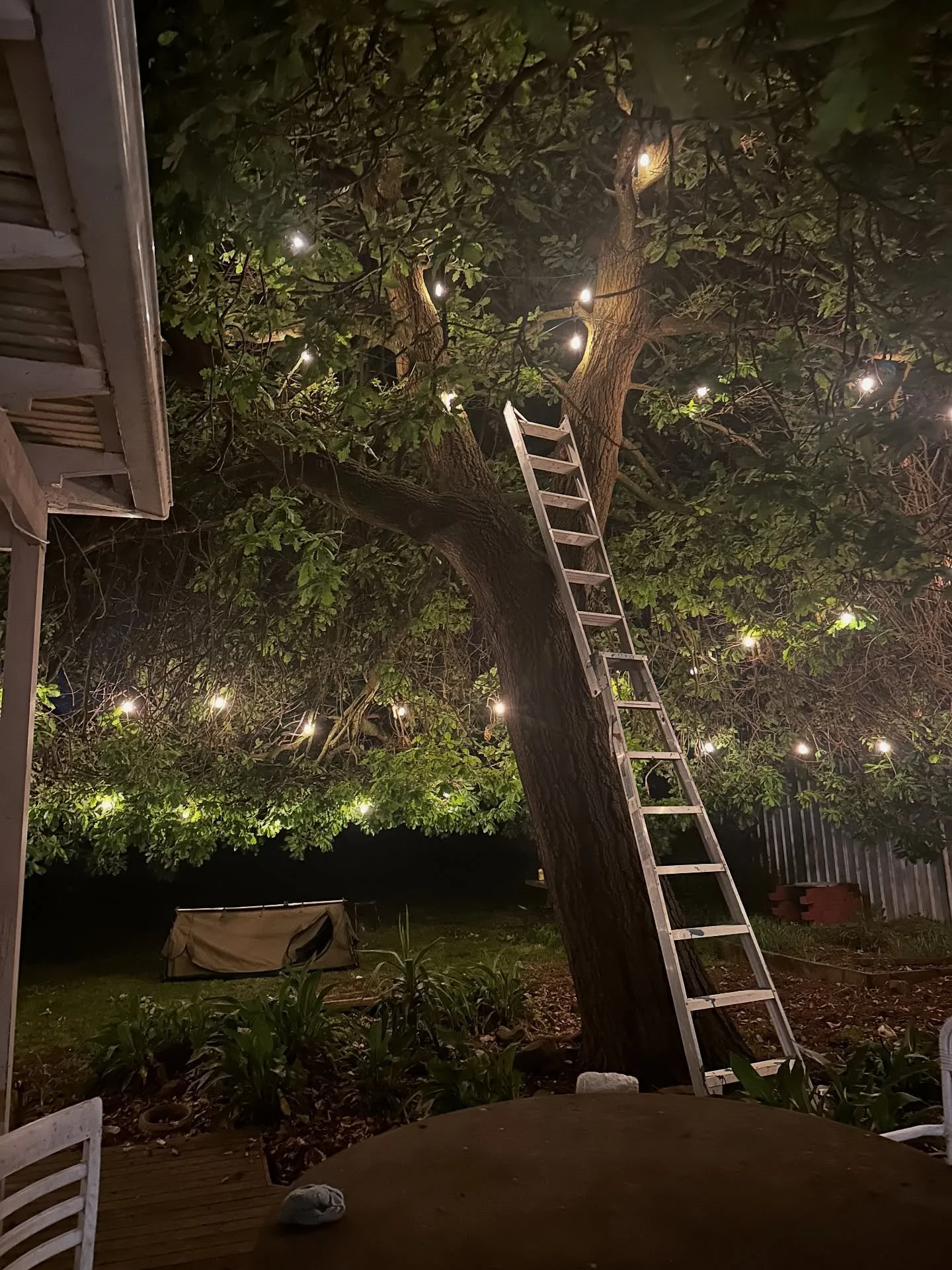 OCTOBER - I have barely left home 🏡 

Mostly spent lost deep in thought in the studio &hellip; painting for my upcoming @solunafineart  solo exhibition in December.  Also doing the final, final edits on my book #poetryburiedingeometry with @tale_map