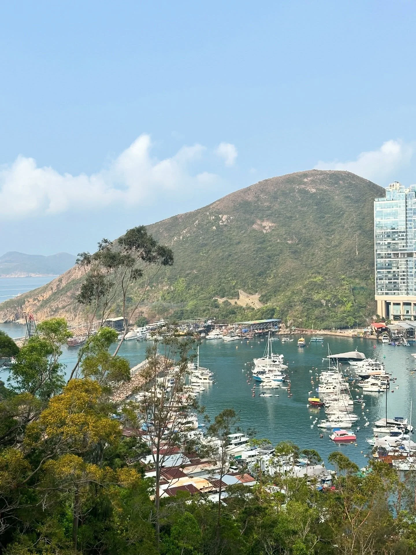 POSTCARDS FROM HONG KONG 🇭🇰 💭🎨

Sharing a few art week highlights! Examples of the contrasts the City holds, the capacity to go from high rise to hike is one of my favourite things about the place. So grateful for all my wonderful friends here, a