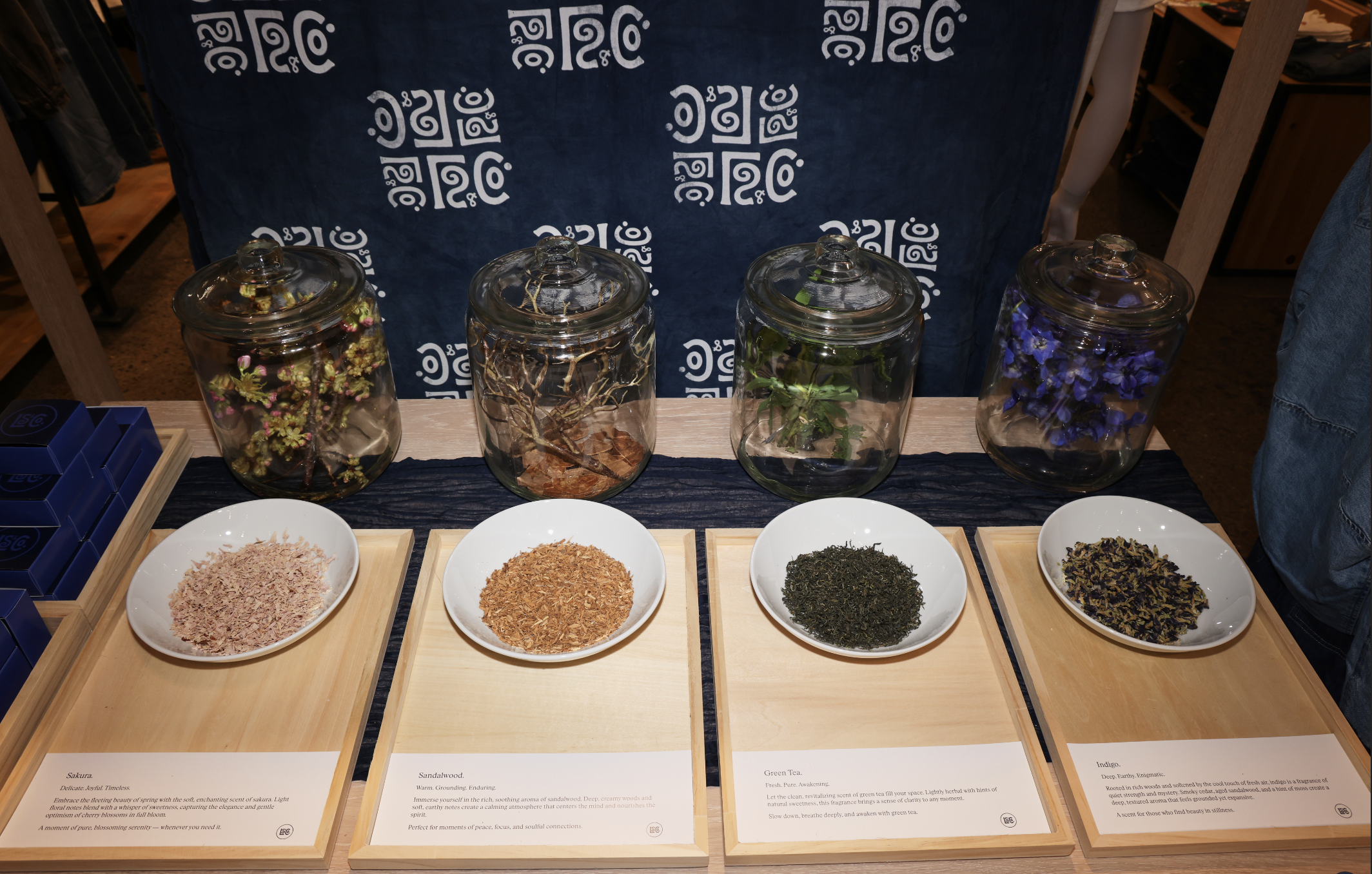 Screenshot 2025-12-15 at 9.22.35 PM.png