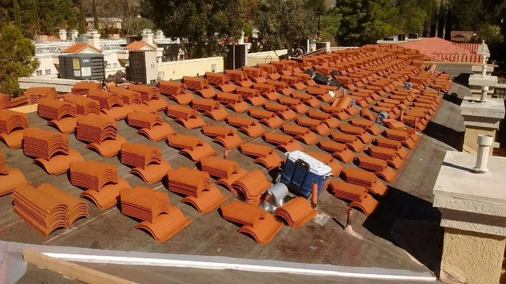 WhatsApp Image 2025-07-28 at 6.15.07 PM.jpeg