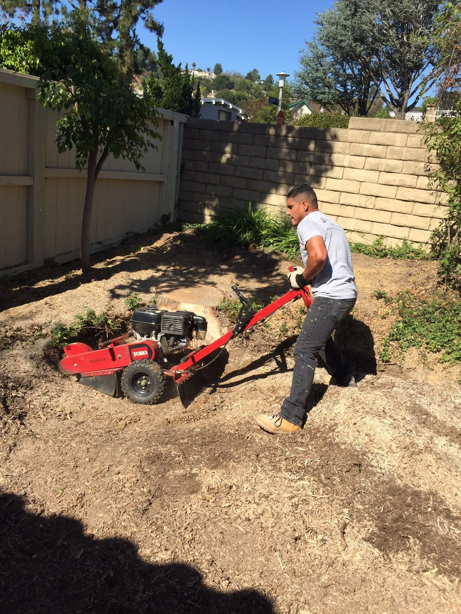 WhatsApp Image 2025-07-18 at 5.58.04 PM.jpeg