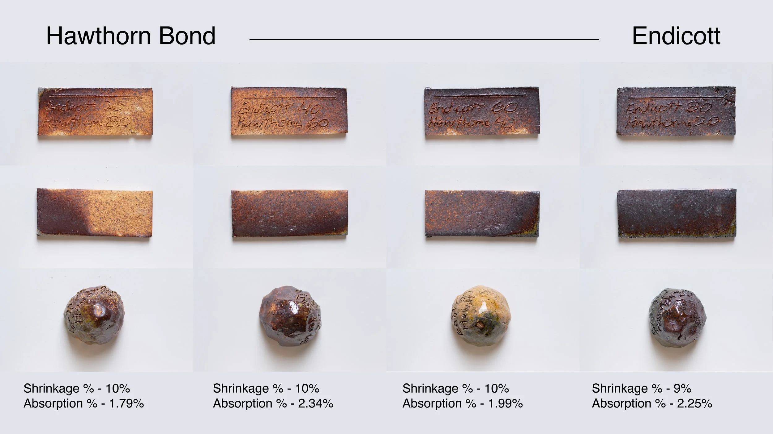 Hawthorn - Endicott.jpg