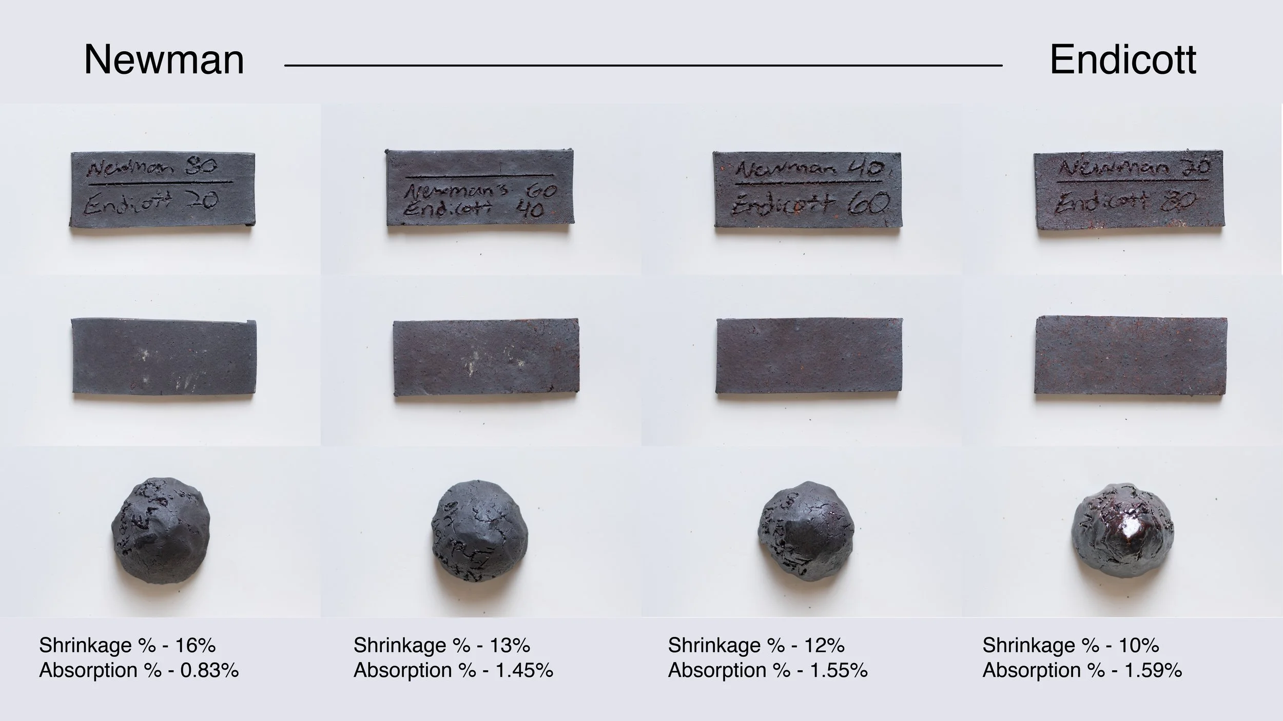 newman - endicott.jpg