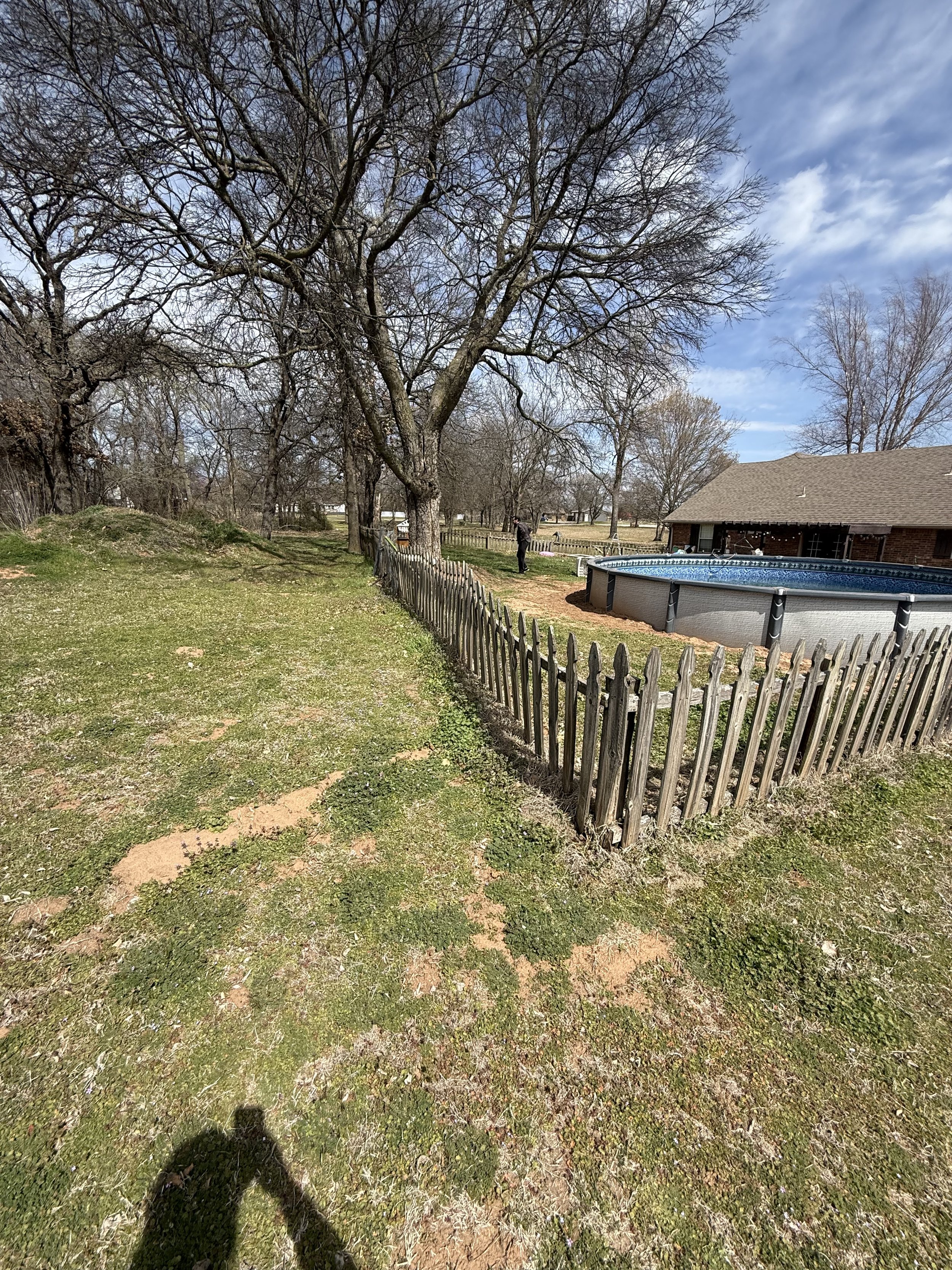 Backyard with large tree, wooden fence, above-ground pool, and a house in the background on a sunny day.