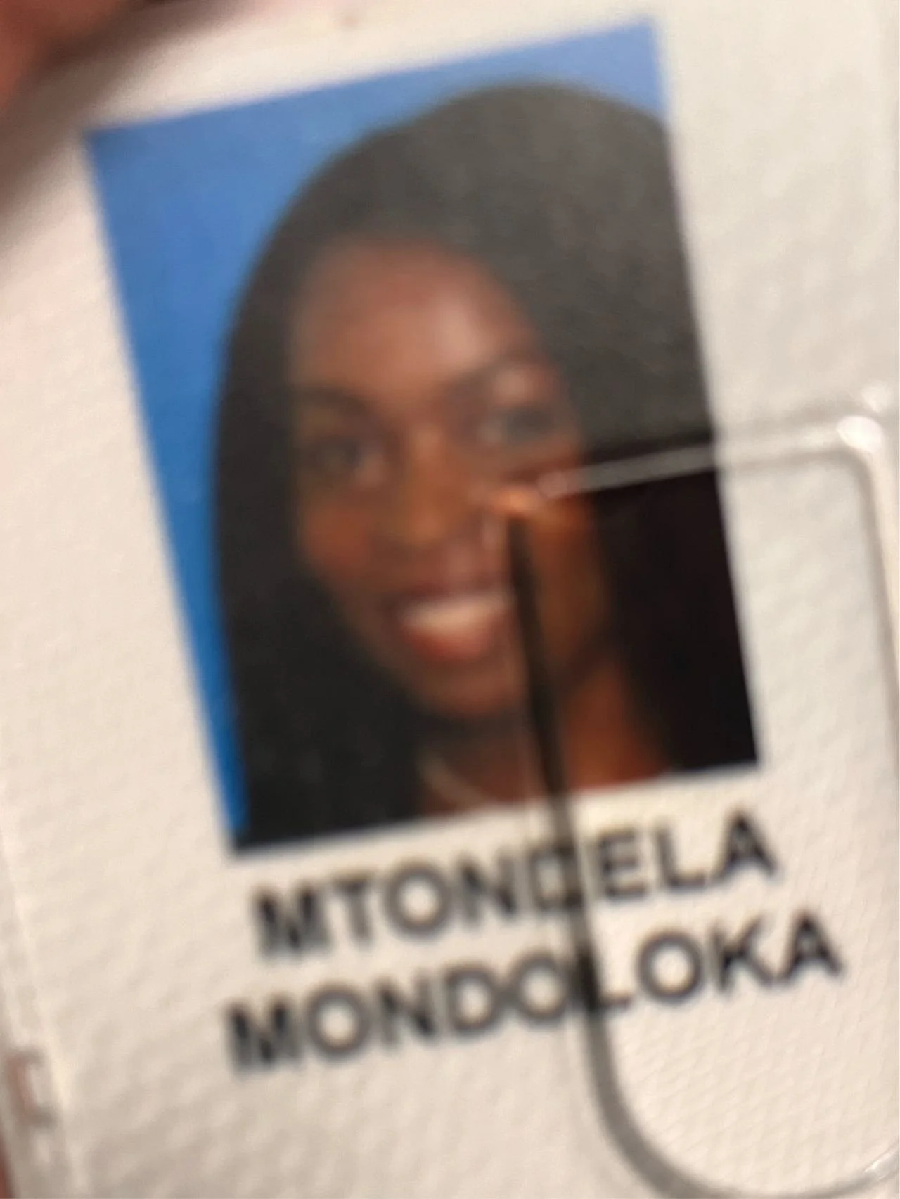 1744186335742.jpg