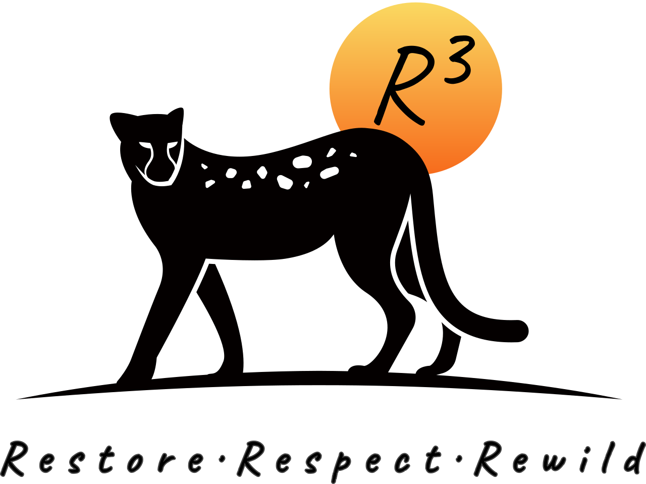R3 Biochar