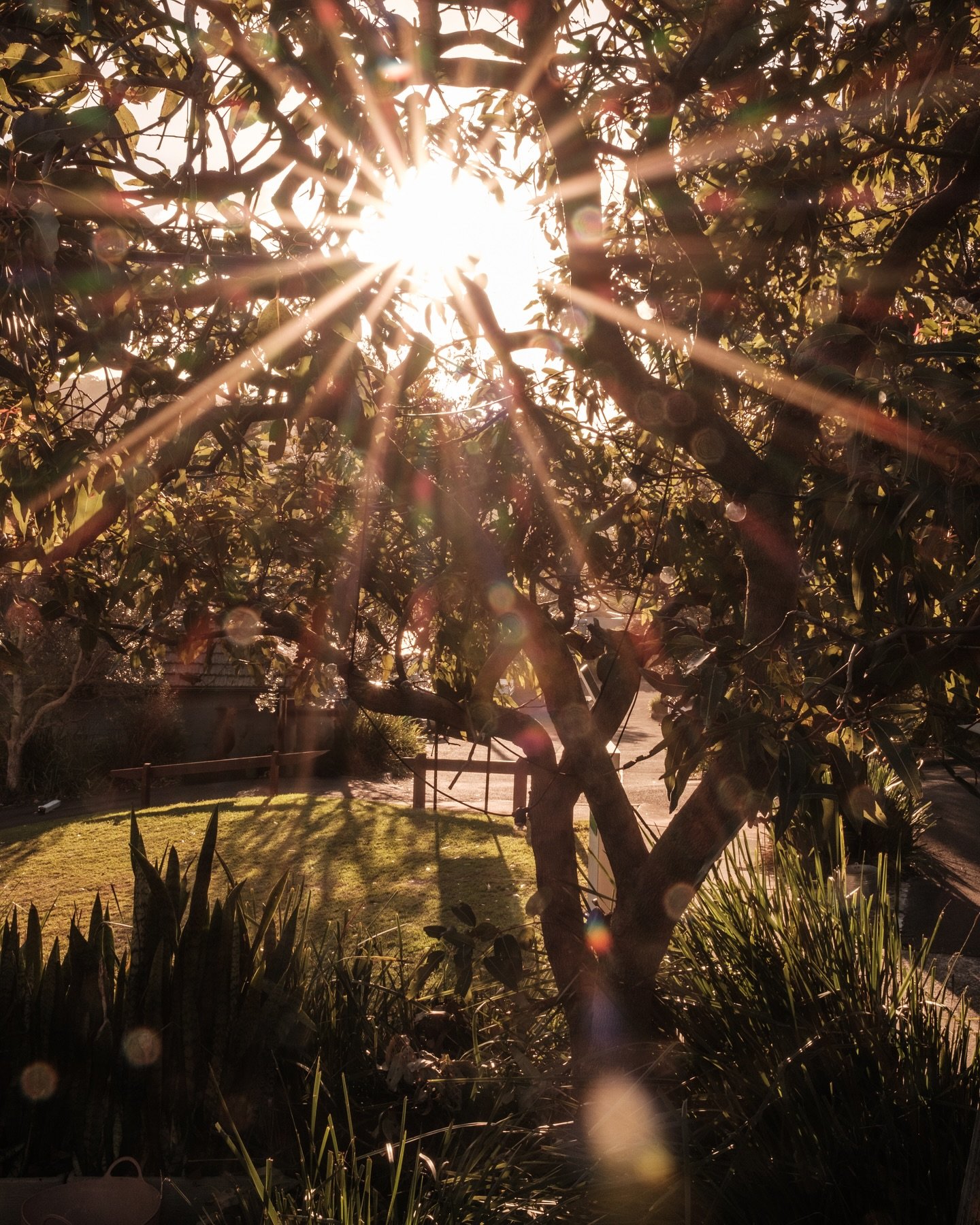 What&rsquo;s your perfect weekend look like?

Well, considering you are spoilt for choice - maybe we can offer some suggestions for this sunny Friday&hellip;

ׂ╰┈➤ Morning coffee at @randyswine_ 

ׂ╰┈➤ Mid morning strength class at @thefeelspilates 
