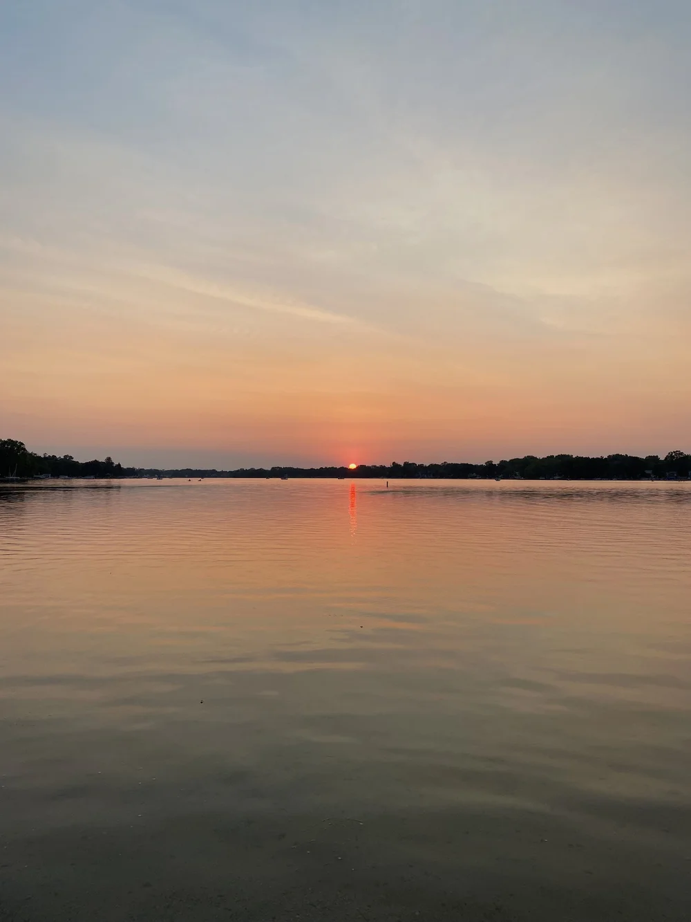 Lake Roots — Café, Market, & Bar