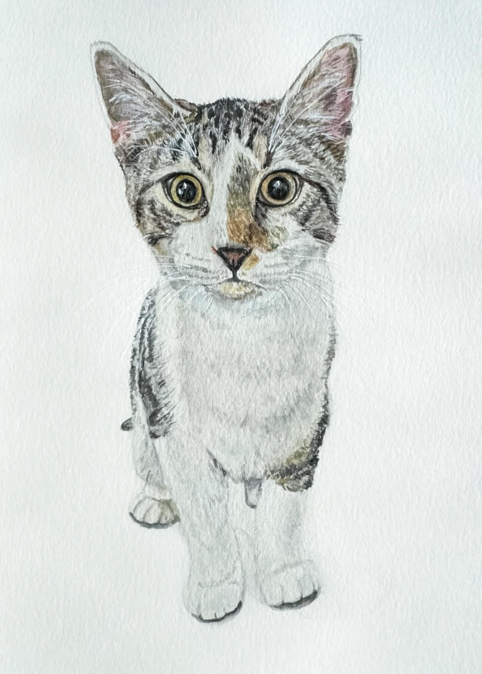 Pet Portrait- Hand Painted Watercolor & Colored Pencil Portrait- 3 Sizes Available