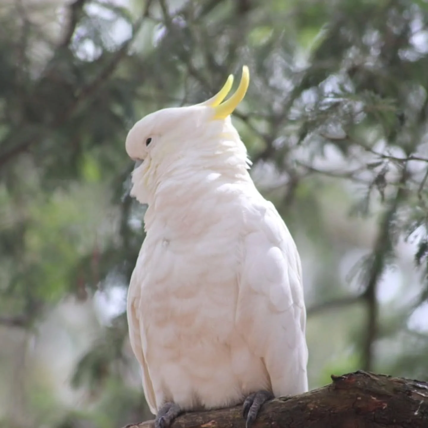 Interrupting my normal posting to give a behind the scenes of my slower months. 

The joy of my business is that it allows me to put the brakes on in January and spend time with my family. My boys are teens and I am lucky that they still want to spen