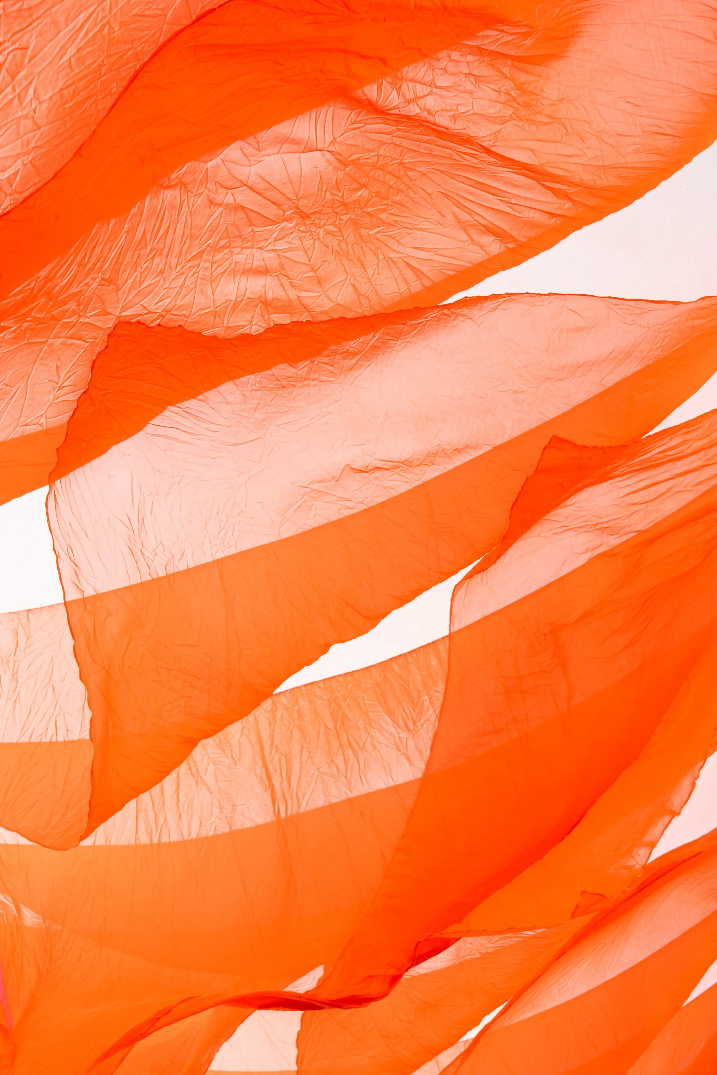 2026 Pitch Music & Arts_Creative-1352.JPEG