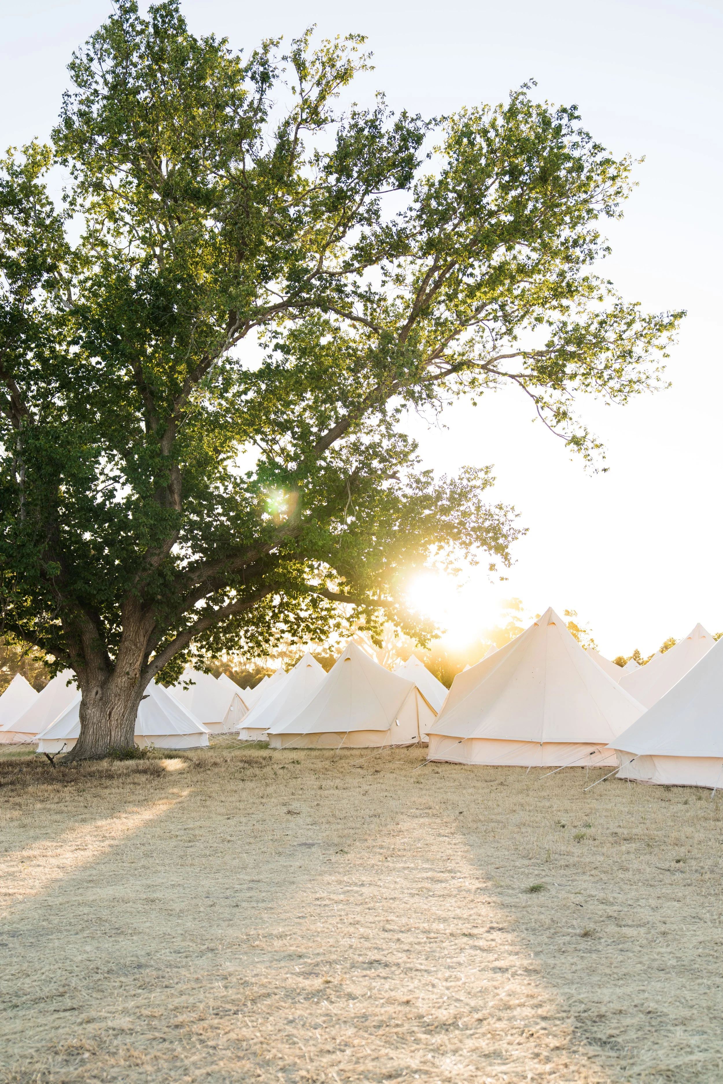 BTV 2025_Lux Camping-52.jpeg