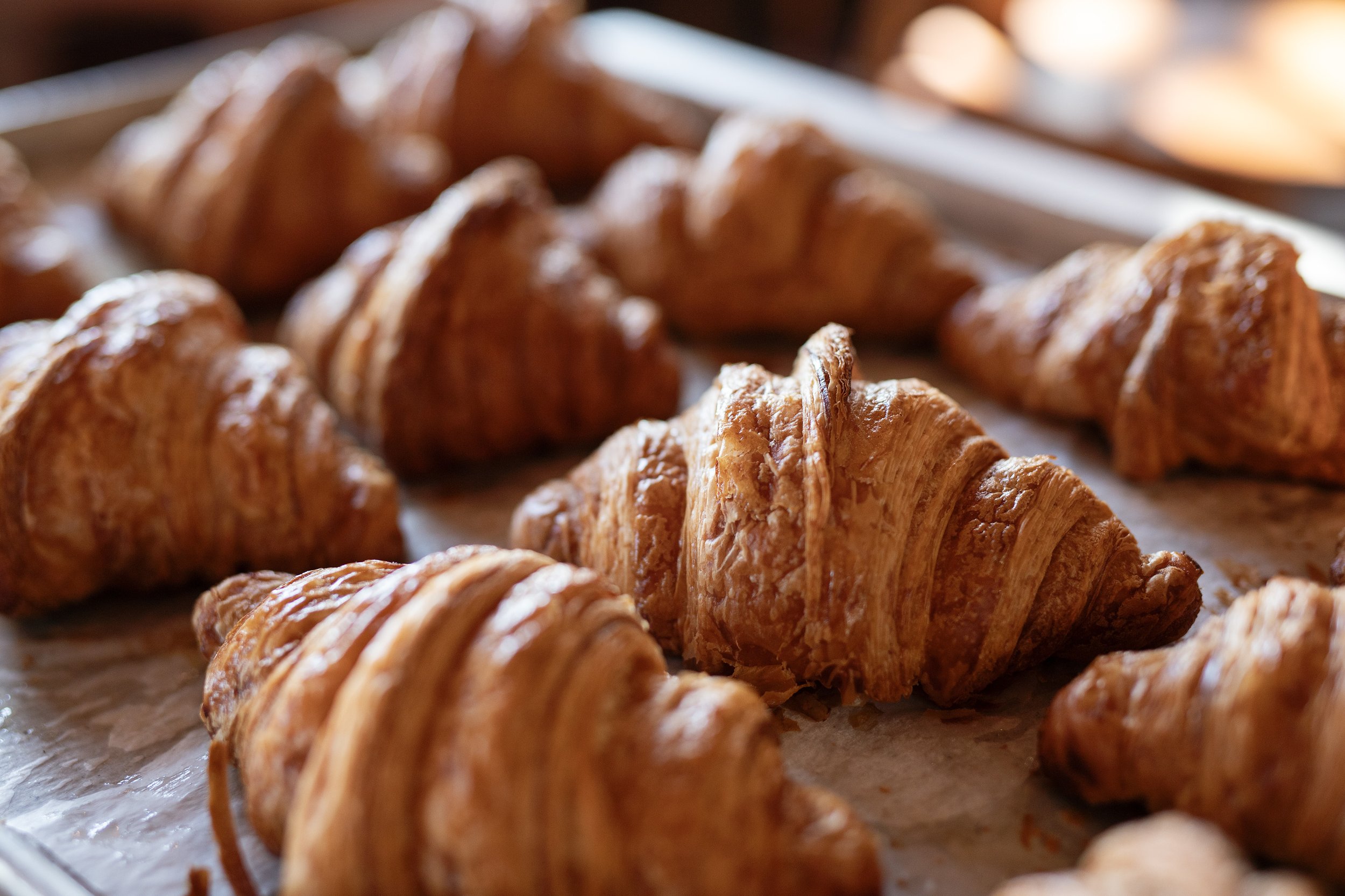 2025_MaisonLodi_CroissantsonPan.jpg
