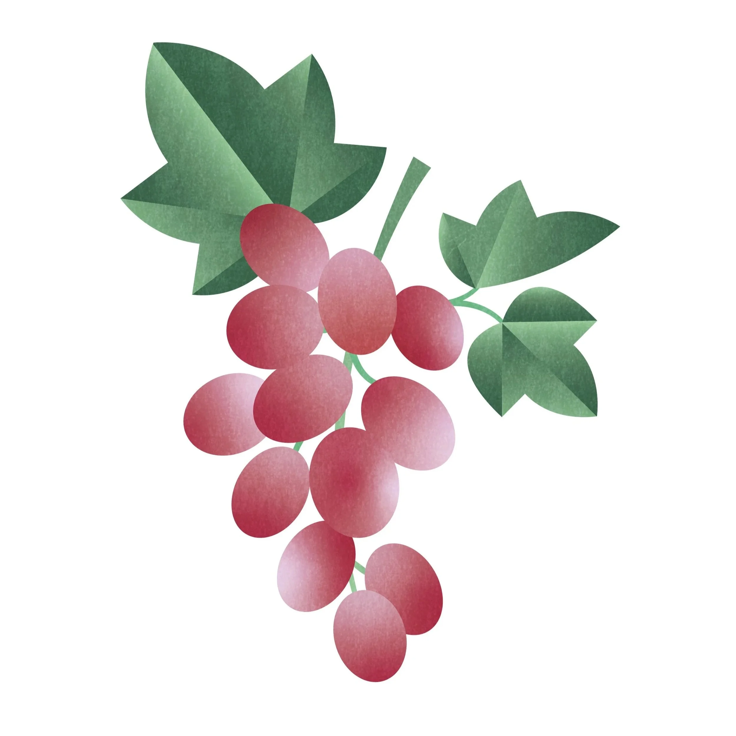 Grape_Print.jpg