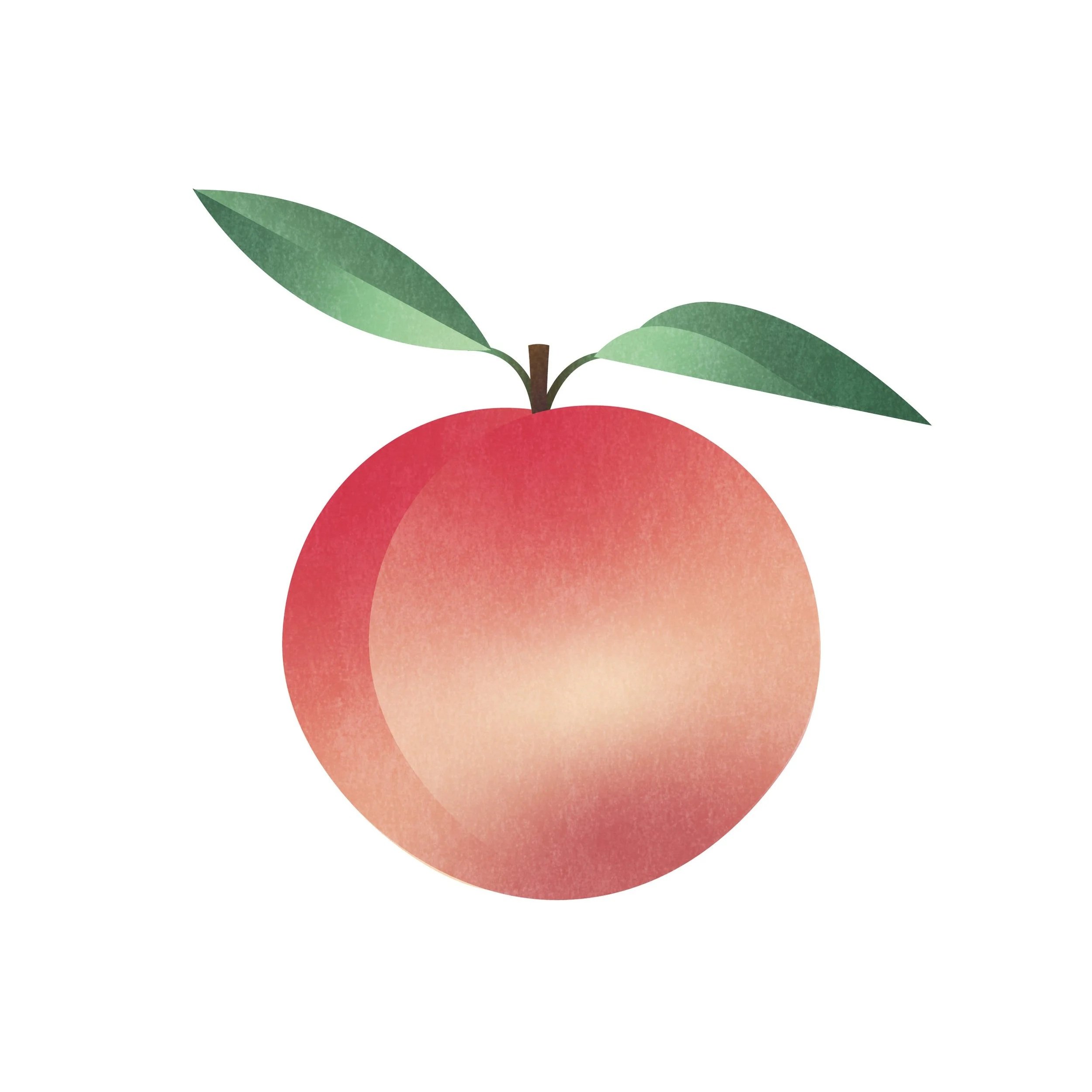 Nectarine_Print.jpg