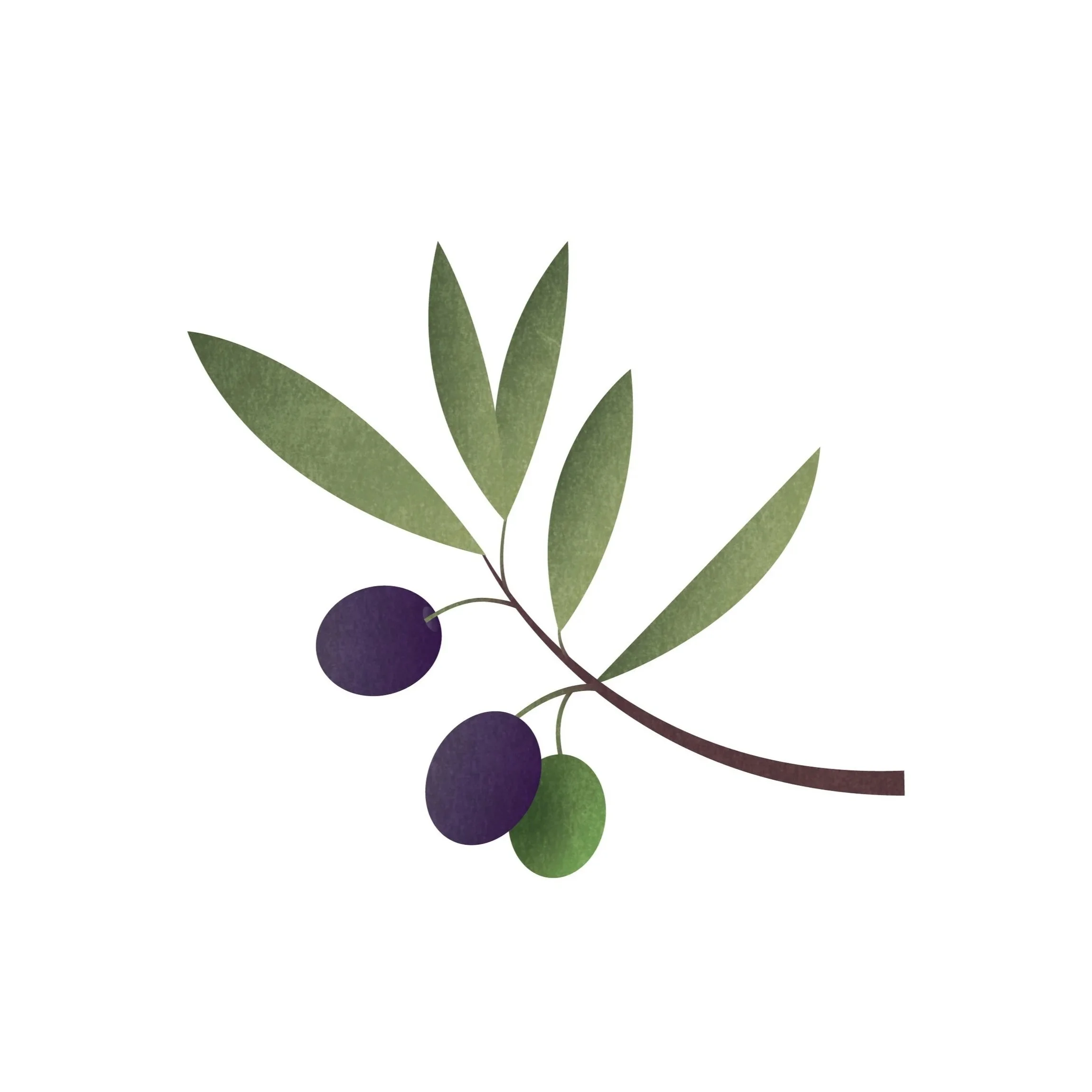 Olive_Print.jpg