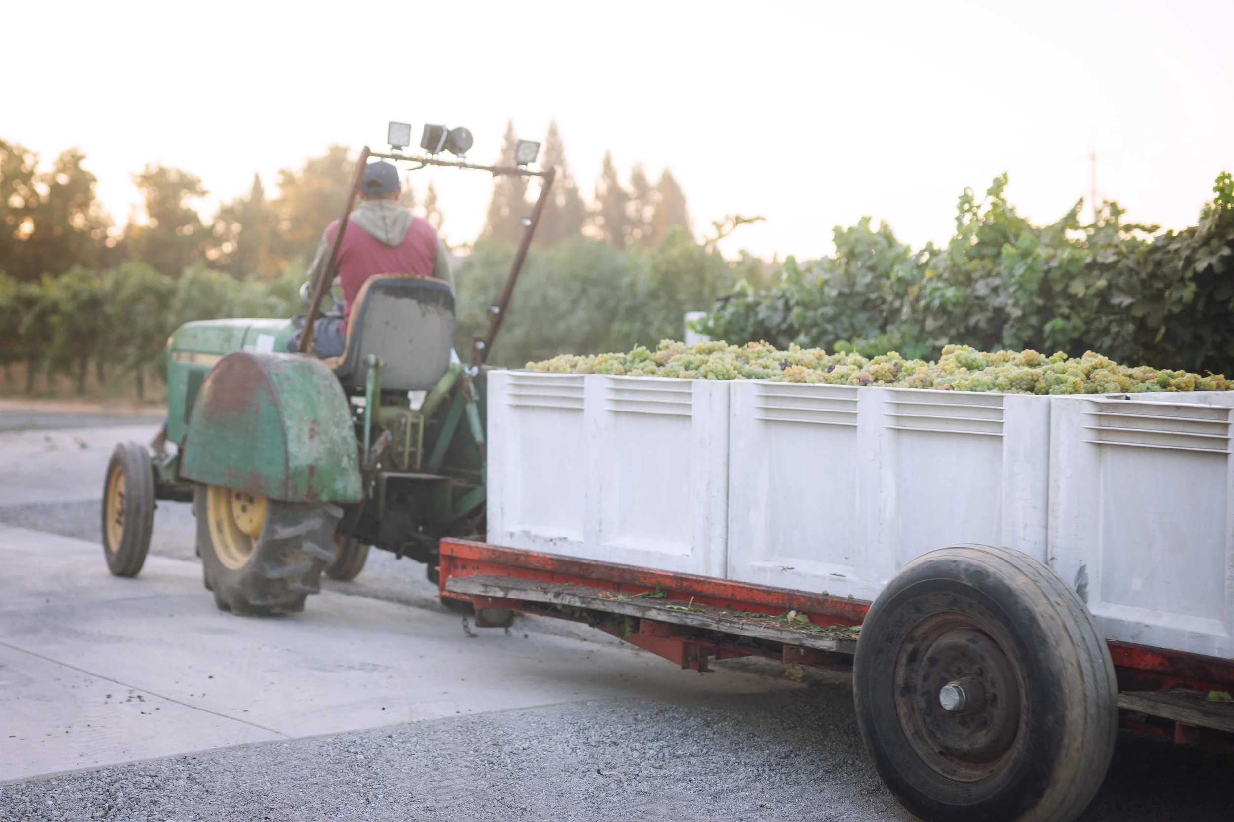 2025_Acquiesce_TractorPulling.jpg