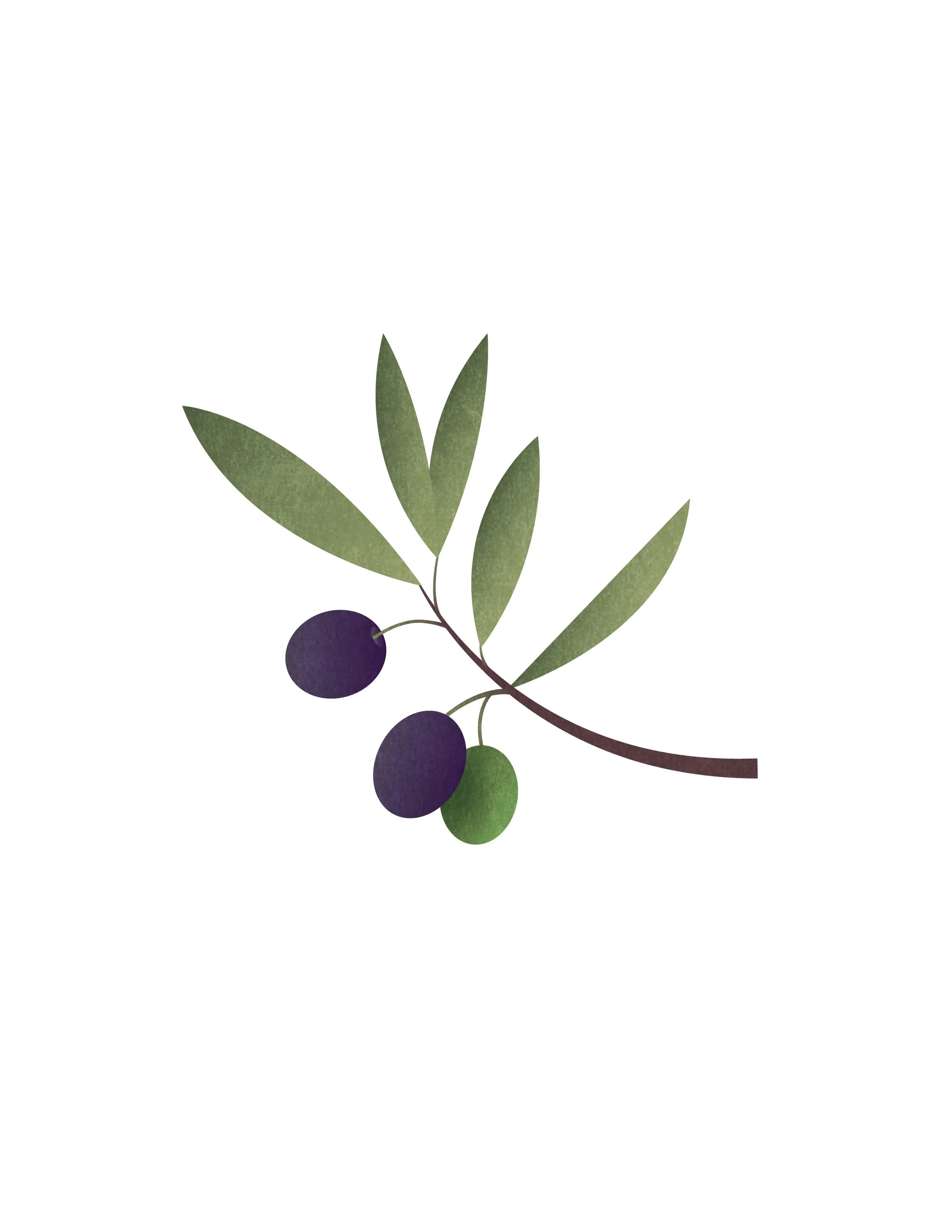 Olive_Print.jpg