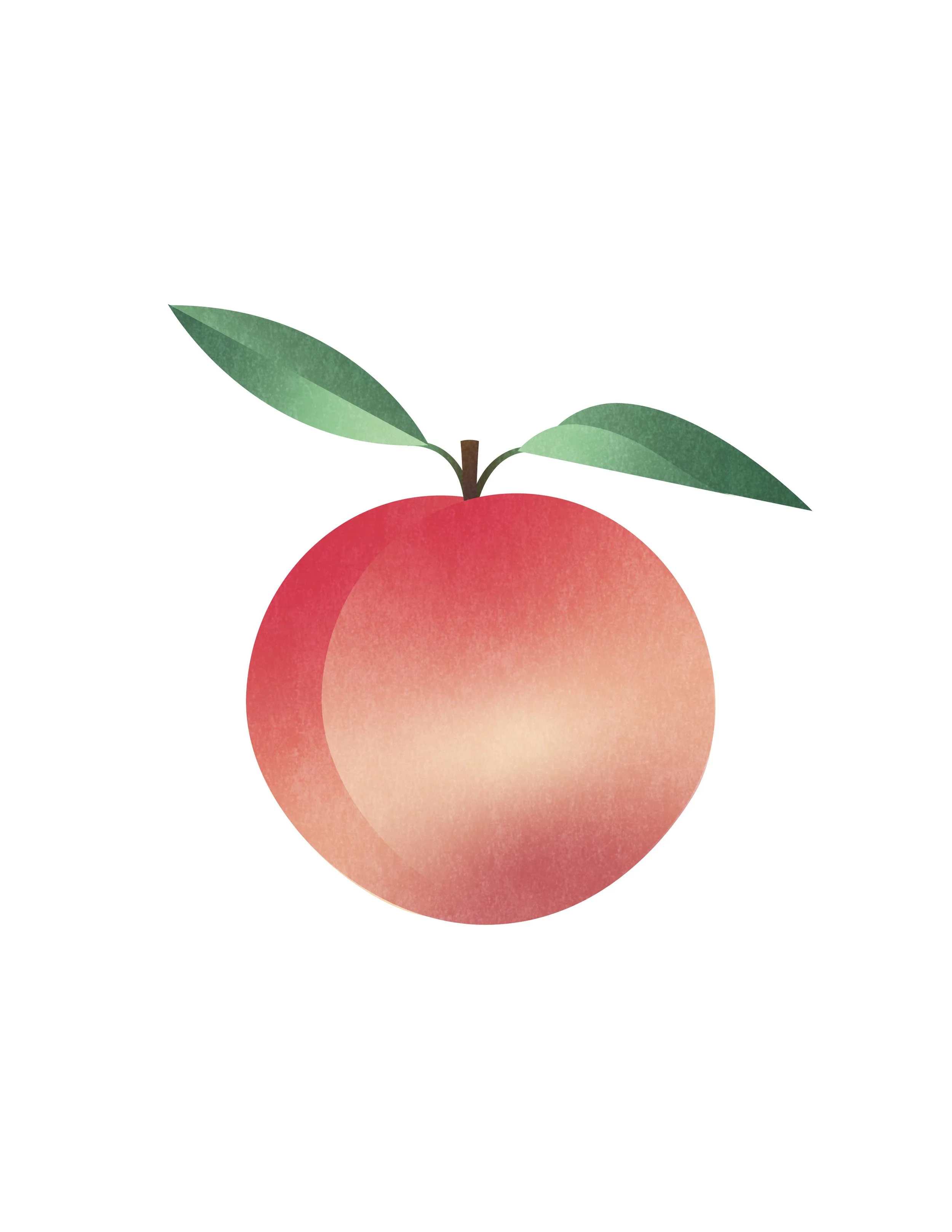 Nectarine_Print.jpg