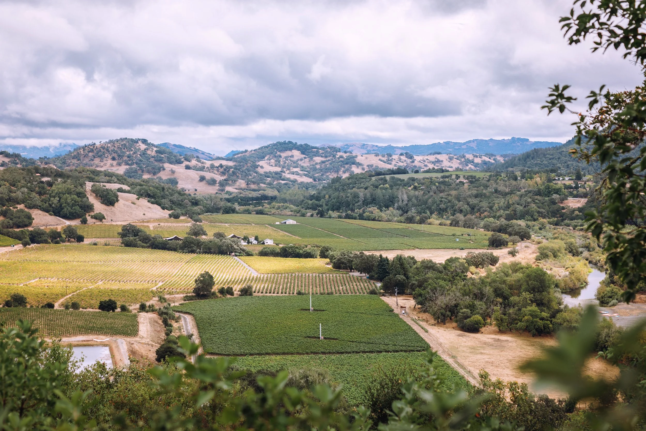 Appellation Healdsburg