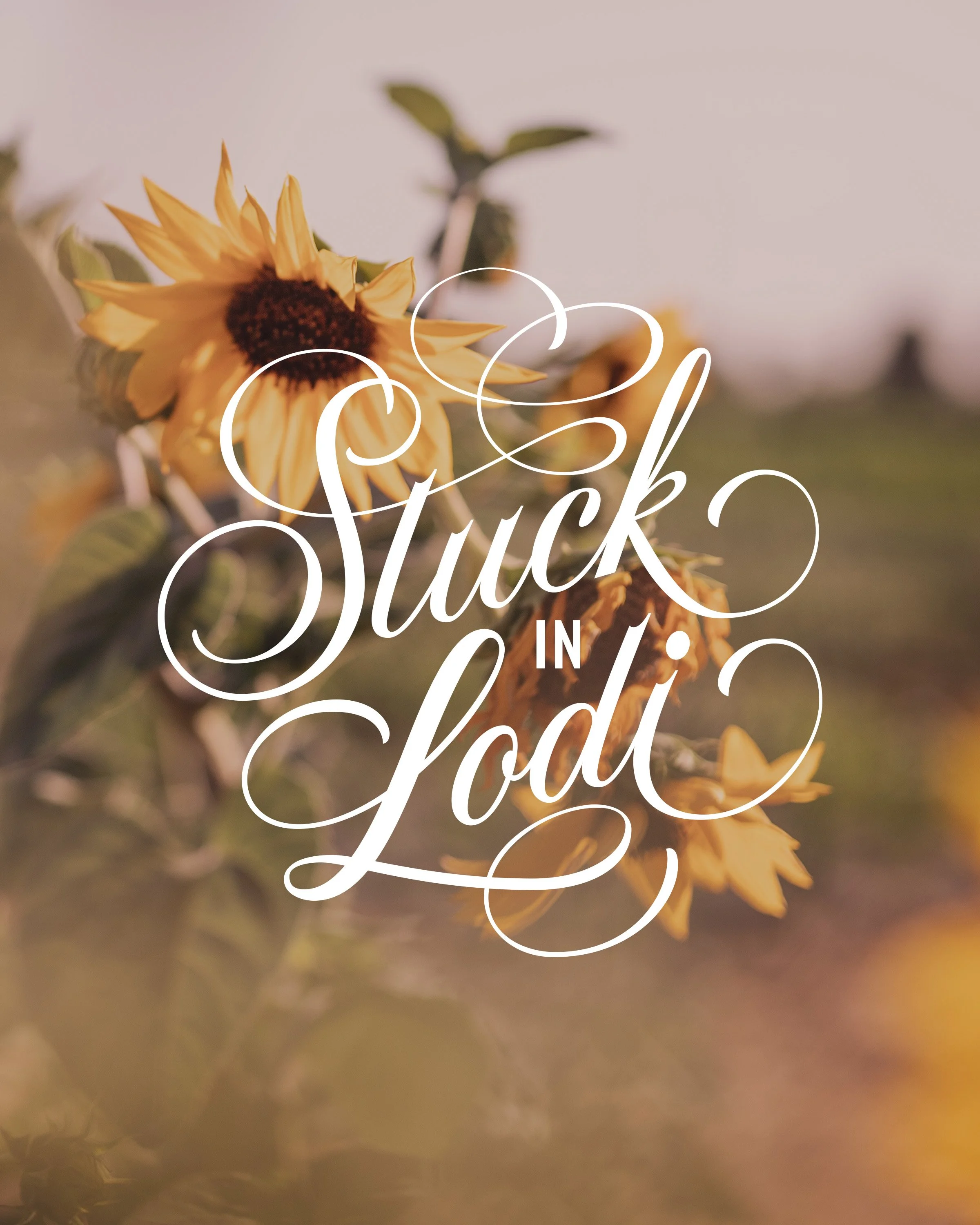Stuck in Lodi lettering with sunflower background
