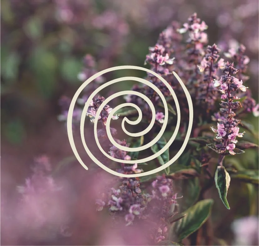 Ecocentric Design Co.