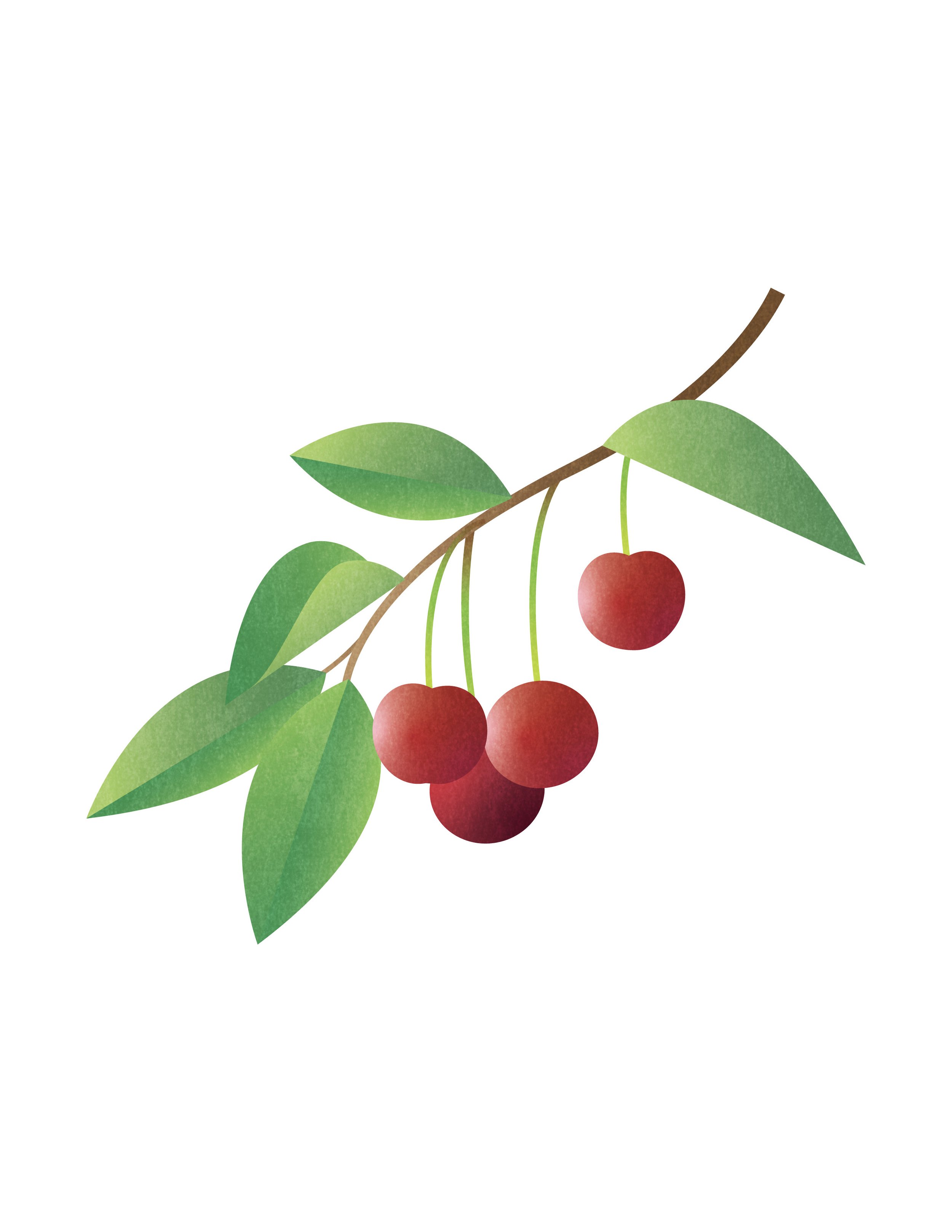 Cherry_Print.jpg