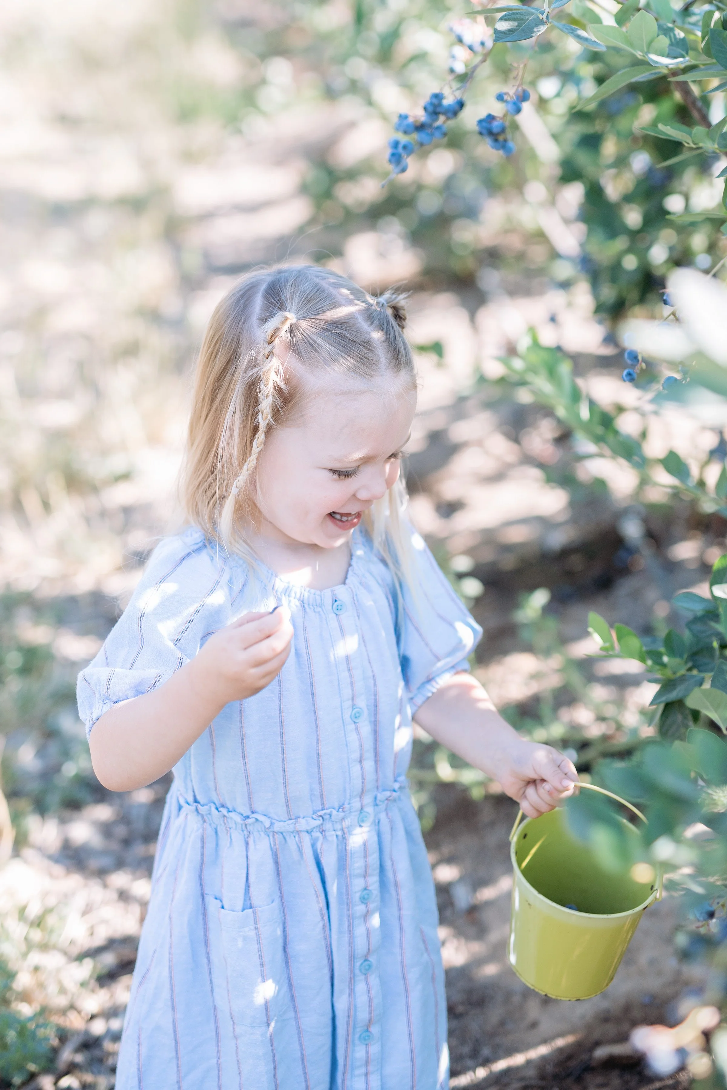 2025_Blueberries_Marley3.jpg