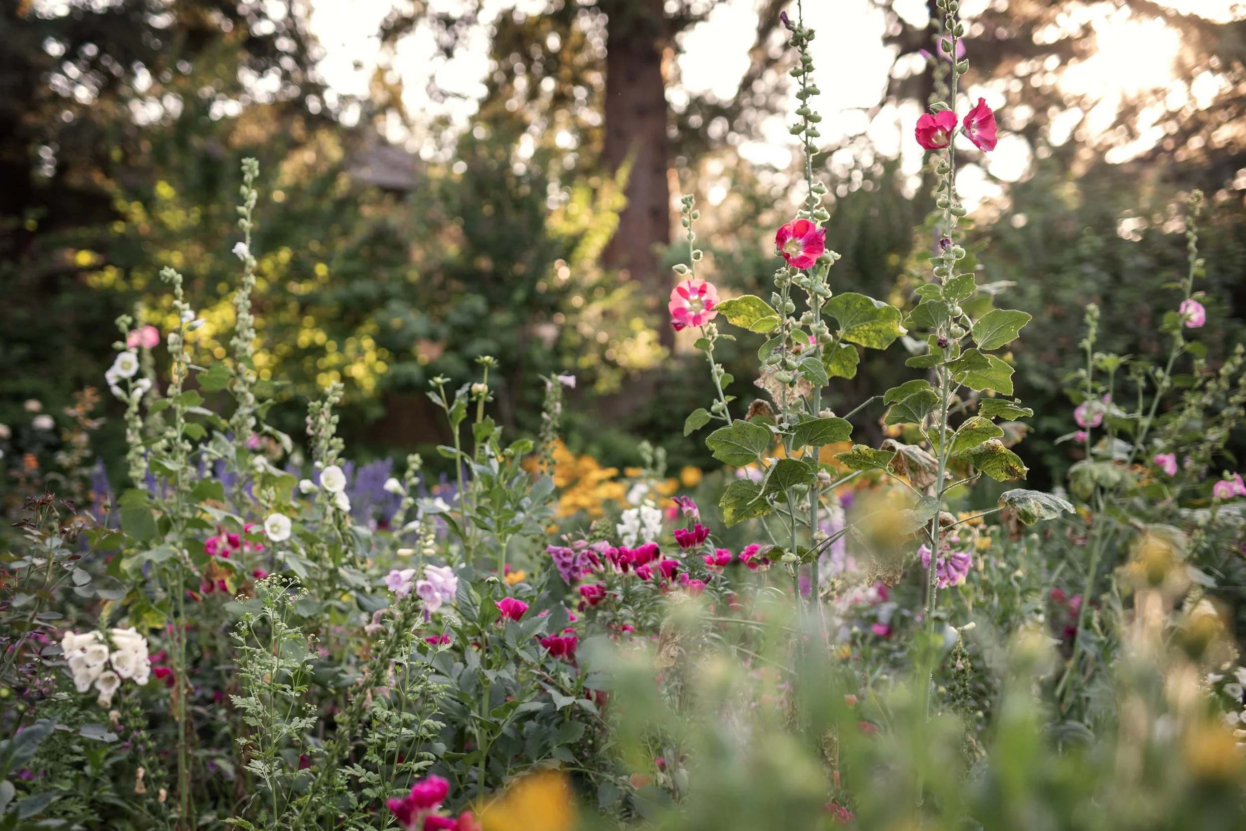 2025_AL_FloralGardensMix.jpg