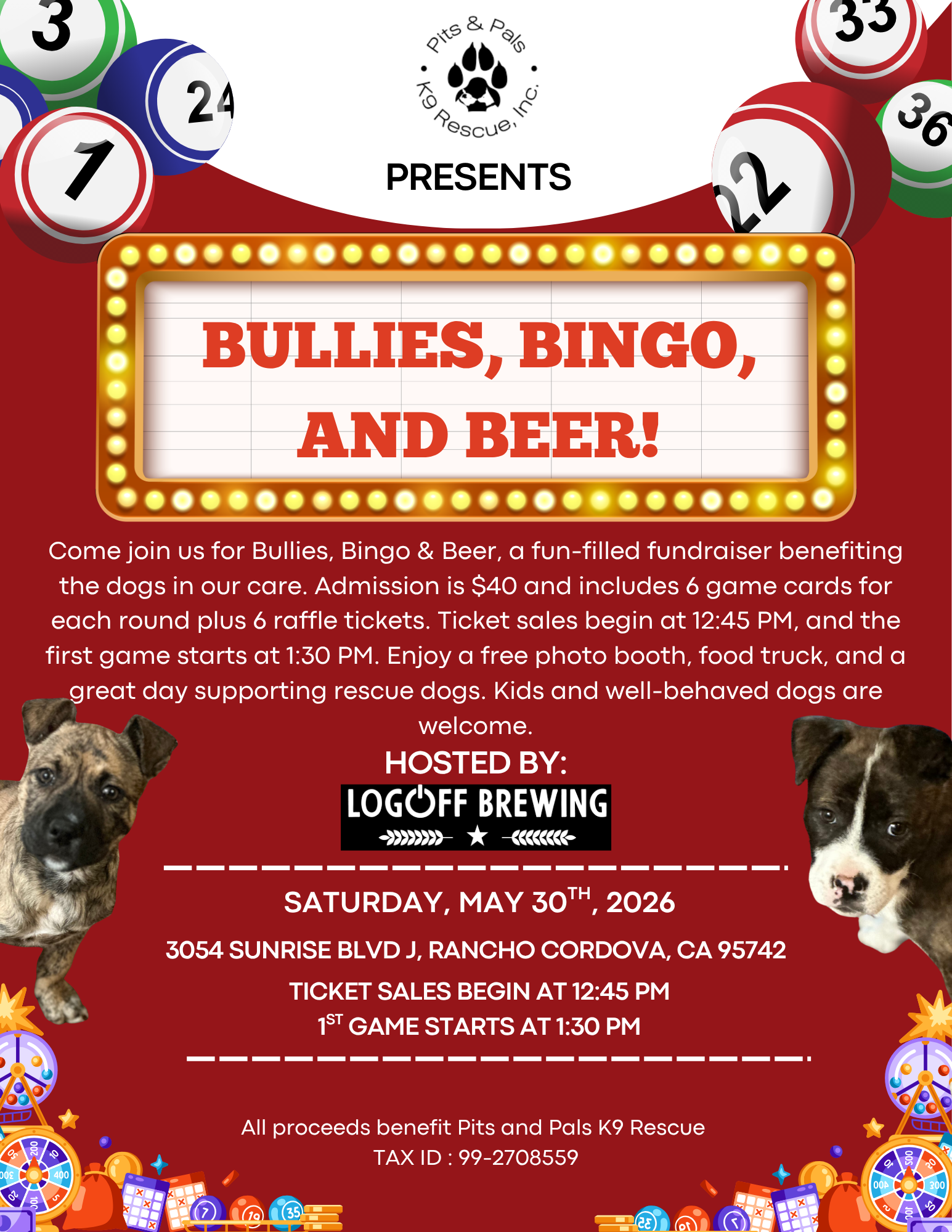 Bullies, Bingo, and Beer!